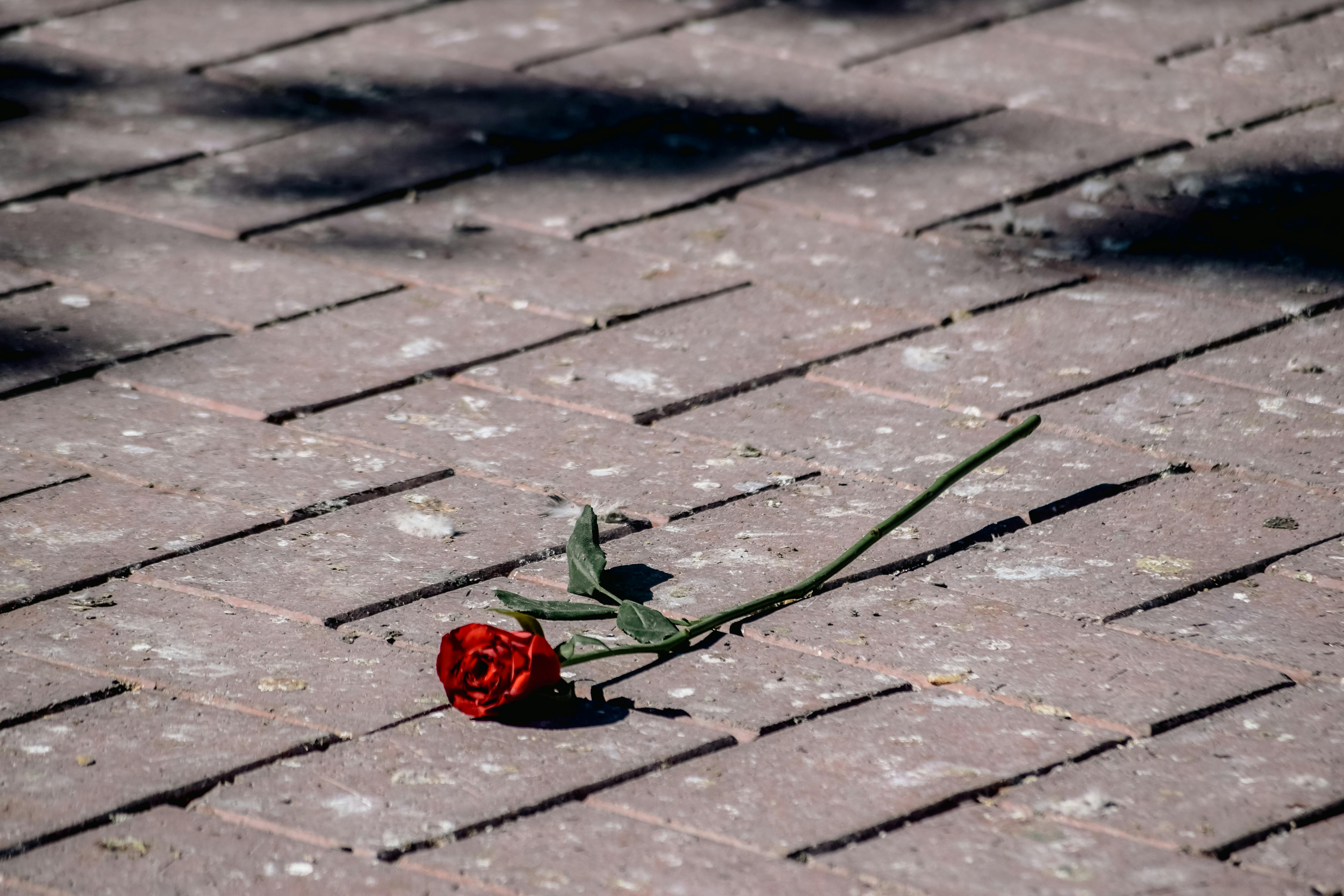 The Power of Olfactory Memory: Unlocking the Hidden World of Smell