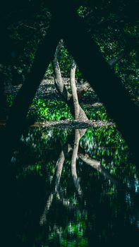 Image by Devi Chakradhar Mudili