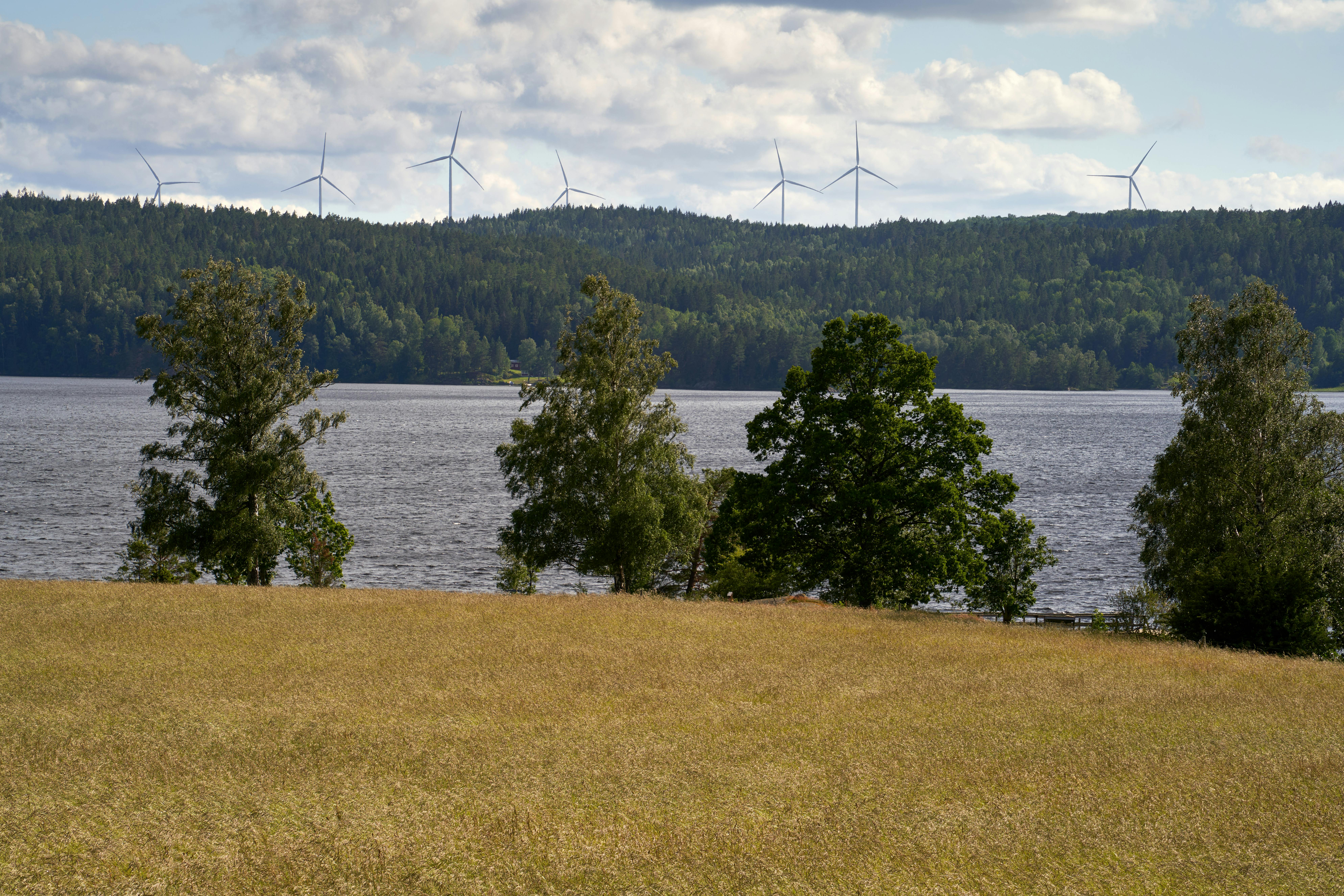 Apple va achiziţiona energie de la parcul eolian Cuca din Galaţi.