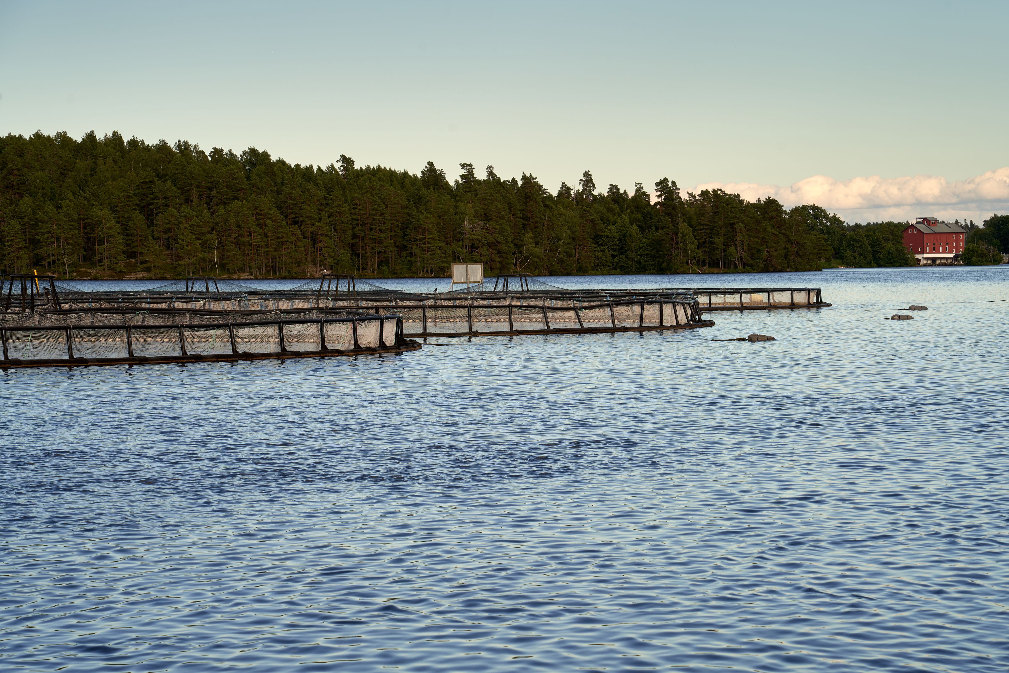 Lake Mälaren