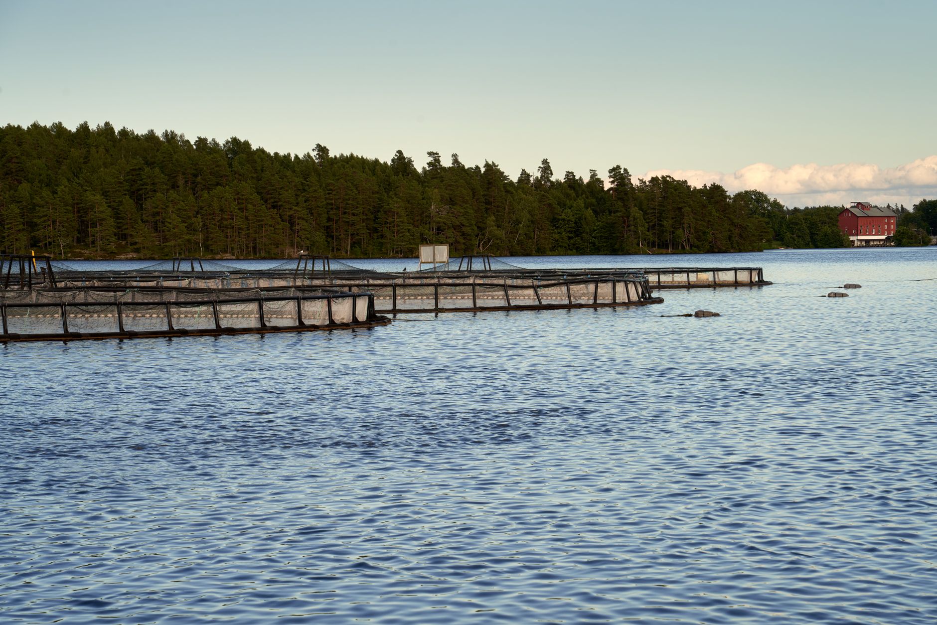 Serene fish farm on a lake with scenic Swedish countryside in Håverud.