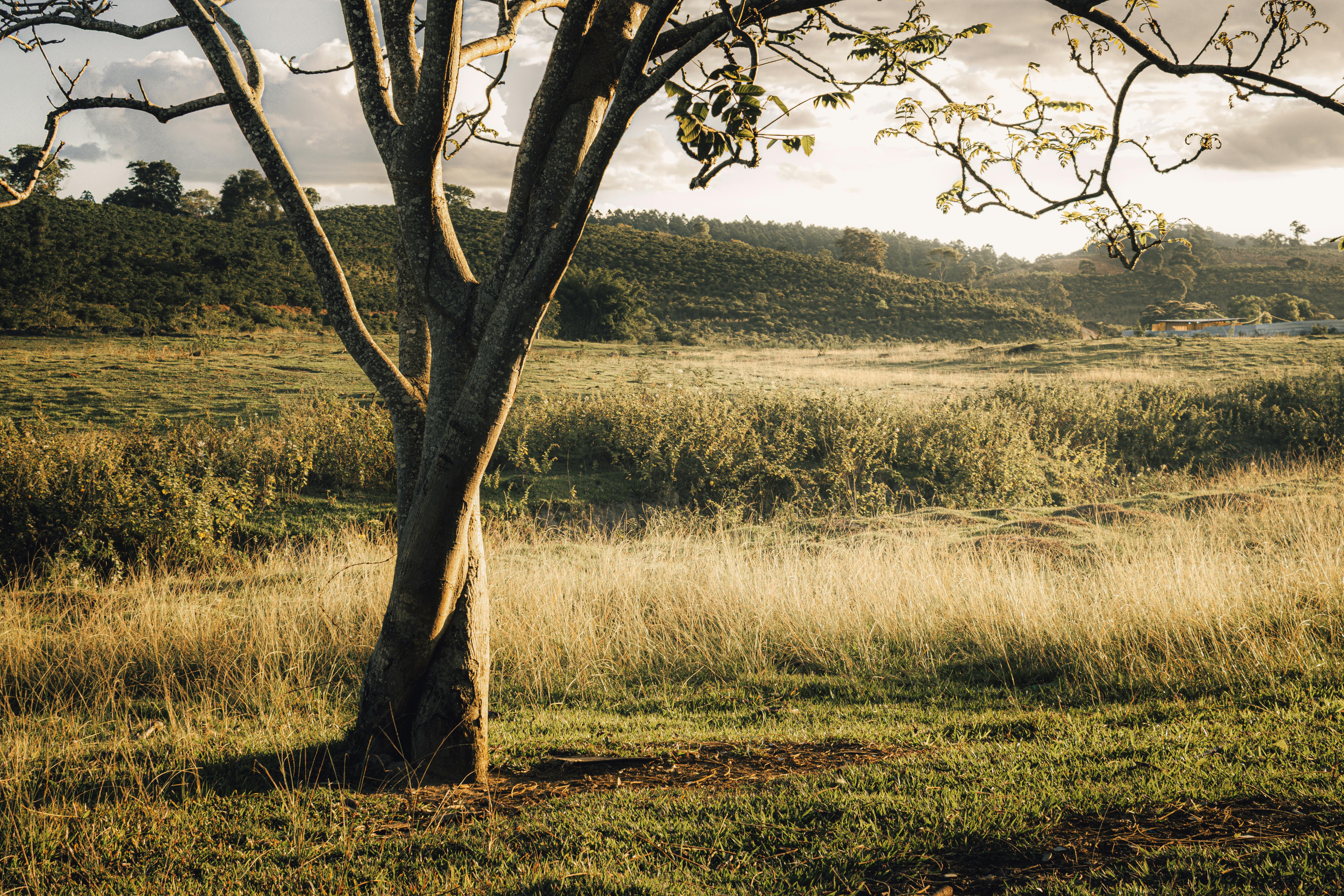 Quantum Communication in Space: Unlocking the Future of Secure Data Transmission