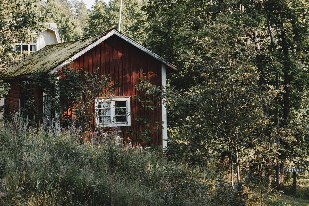 Cabană finlandeză într-o pădure deasă