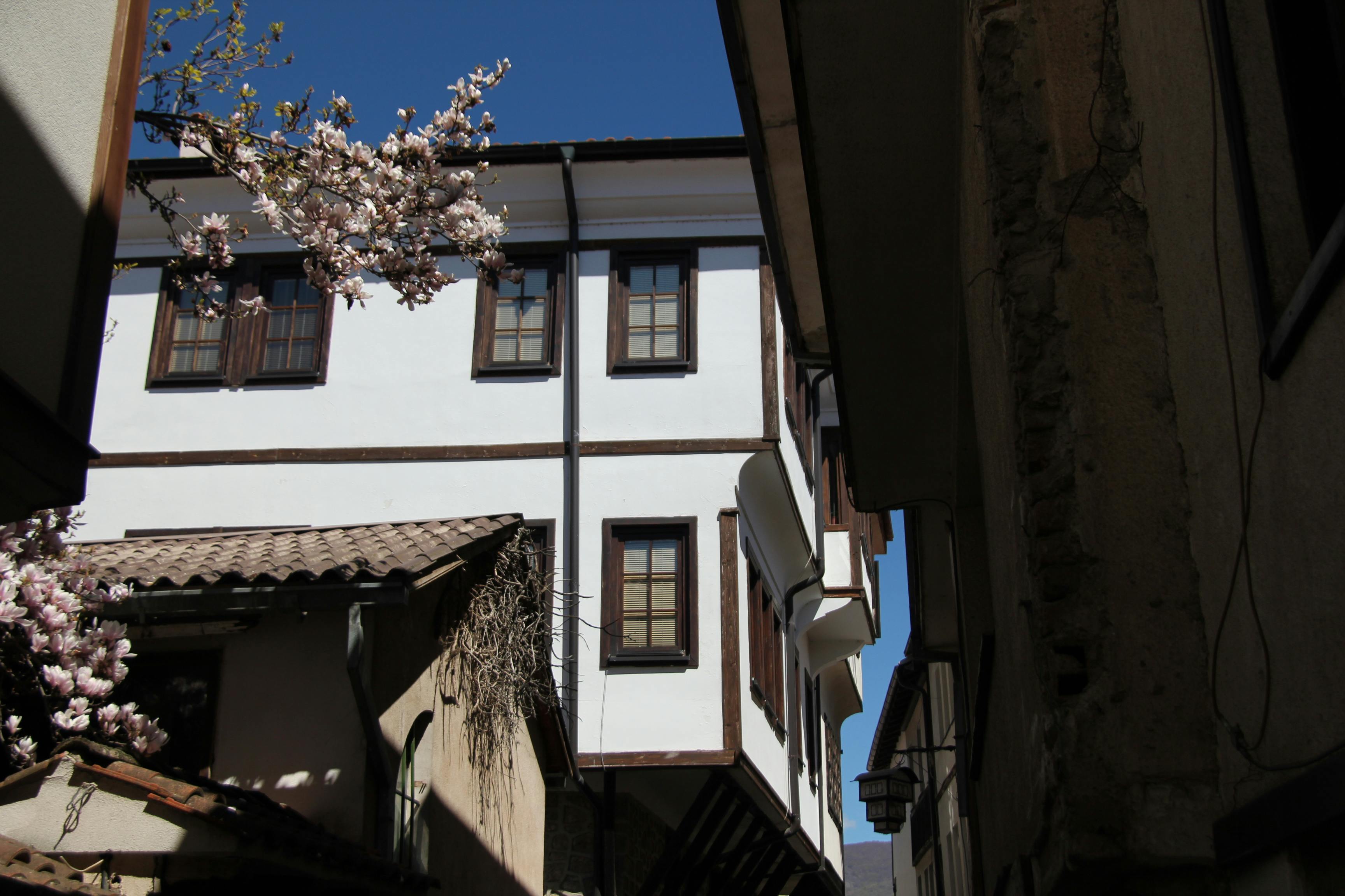 泰國國際遊客預計減少6%，政府指東南亞市場需求下滑