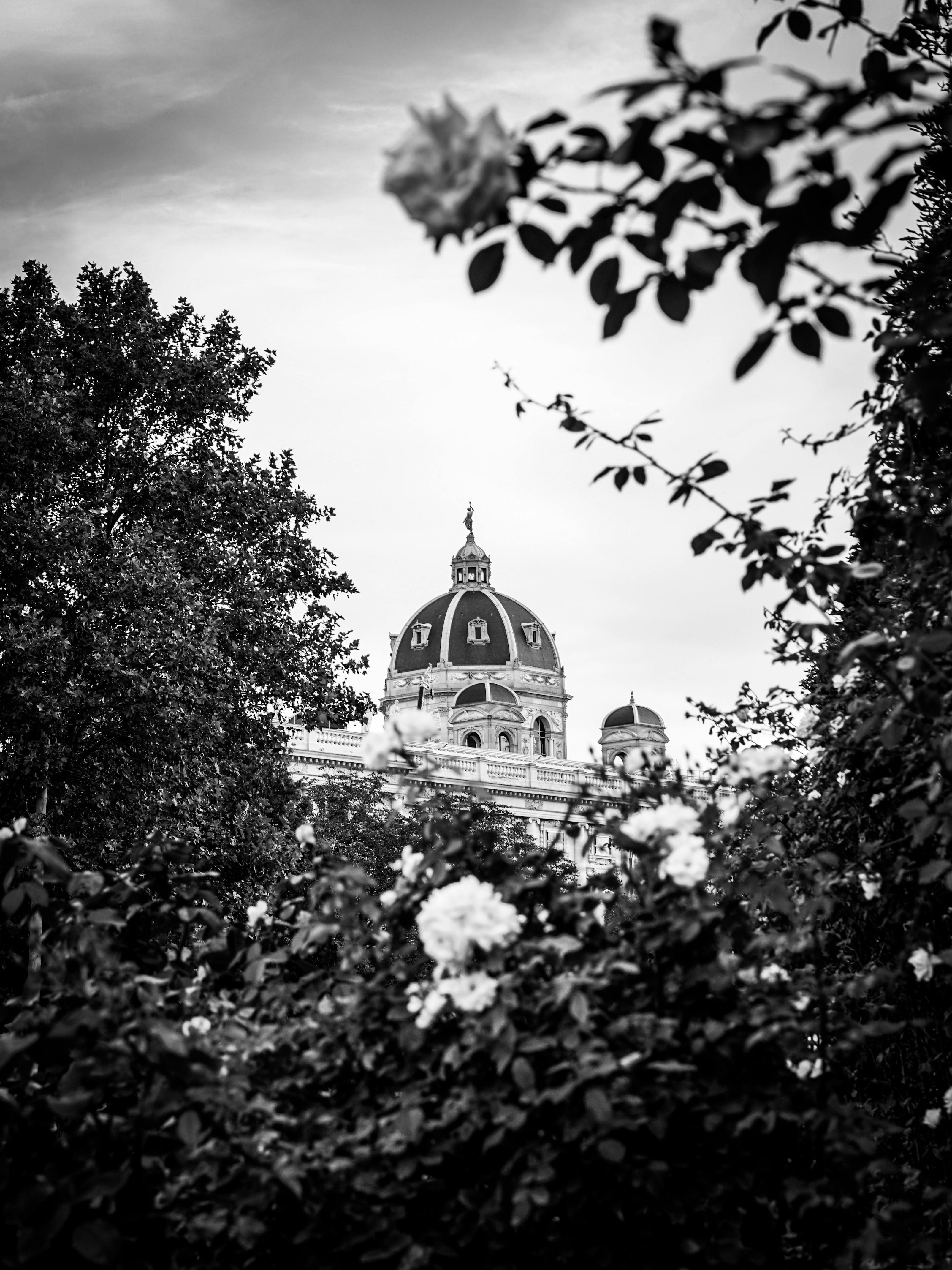 A dramatic black and white photo capturing a historic dome surrounded by trees and flowers.