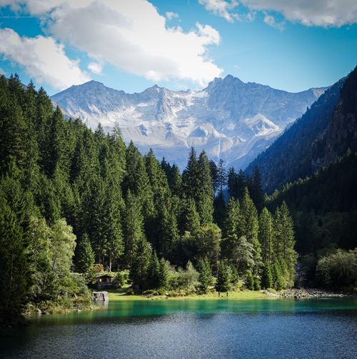 Free Tranquil alpine lake surrounded by lush forest and mountains under a clear blue sky. Stock Photo