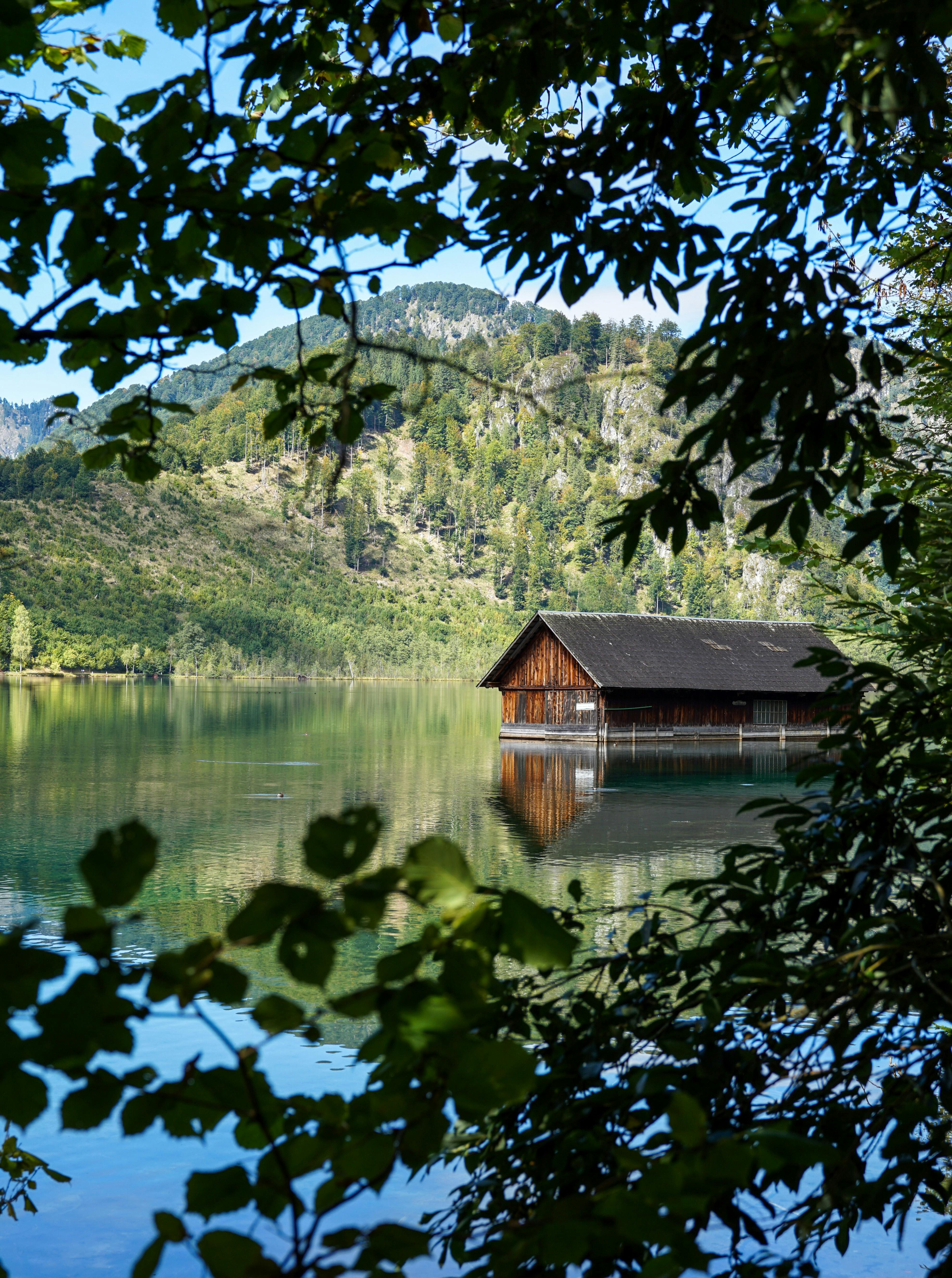 Serene view of a wooden cabin reflecting on a mountain lake, framed by lush greenery.