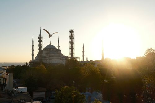 Free Stunning sunset over Istanbul's Blue Mosque with a seagull in flight, creating a serene urban landscape. Stock Photo