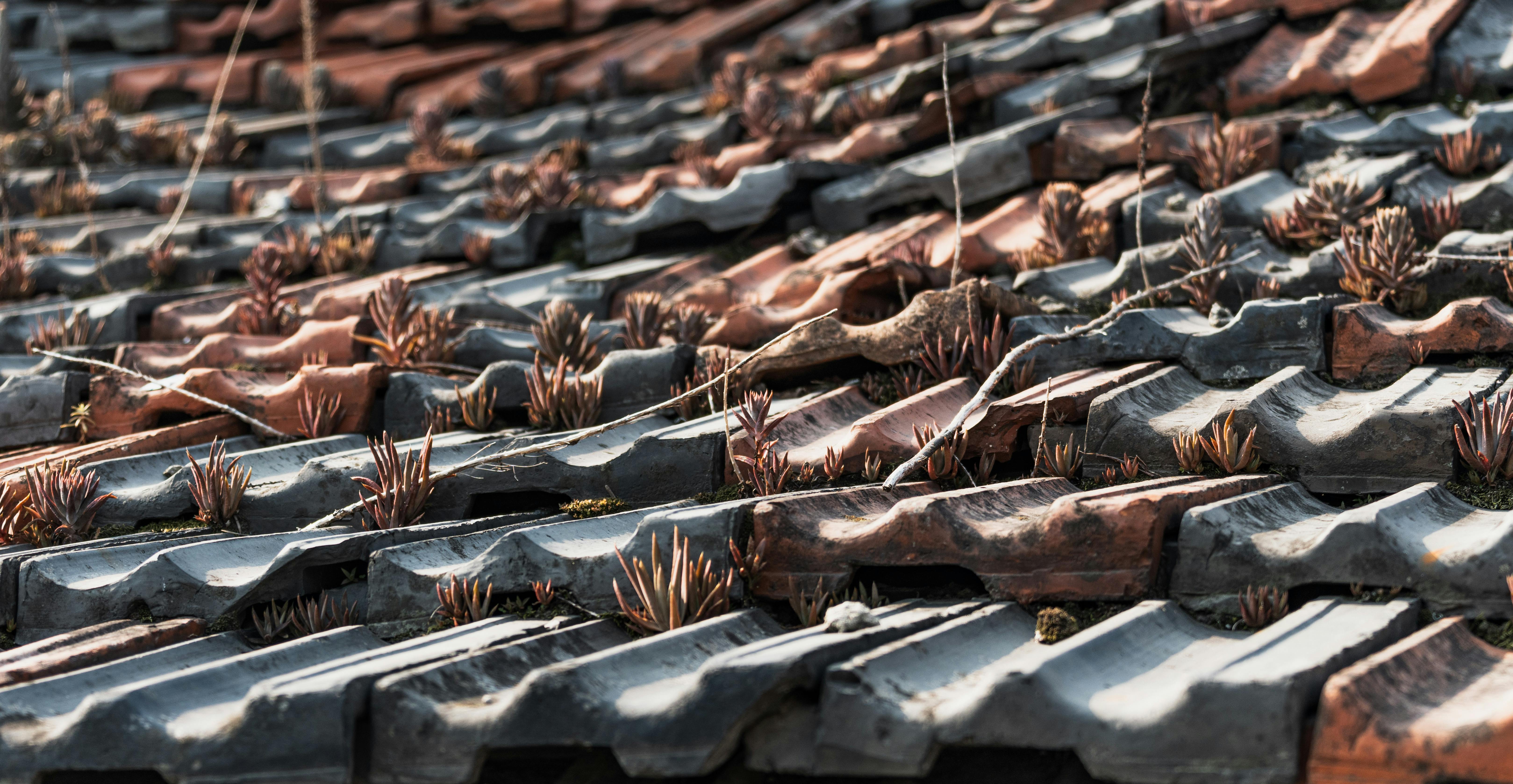 當生活崩潰時，你該如何重整心態與步伐？