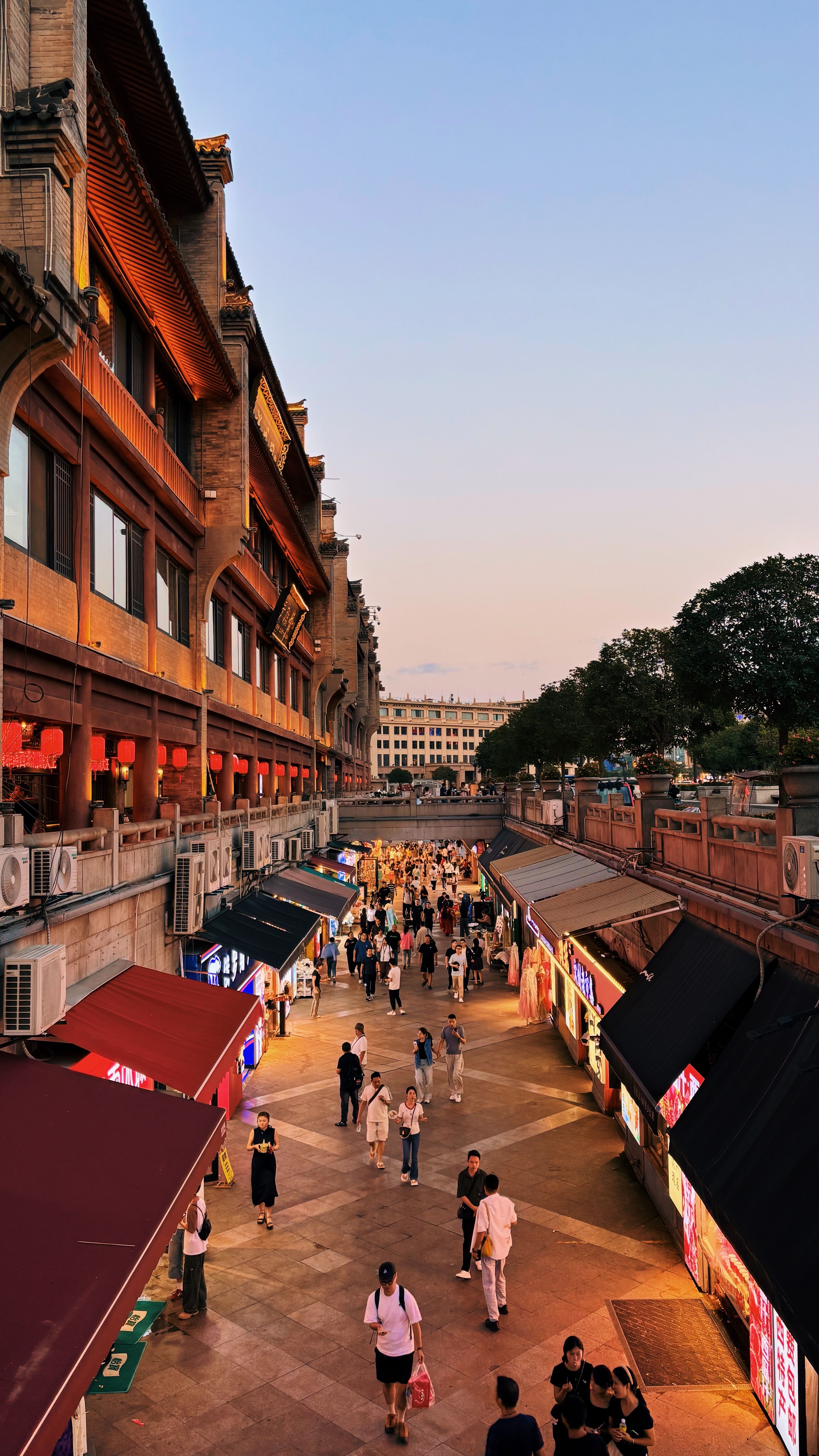 Discovering the Quiet Beauty of Xiamen: A Local's Guide to Unveiling Its Hidden Gems