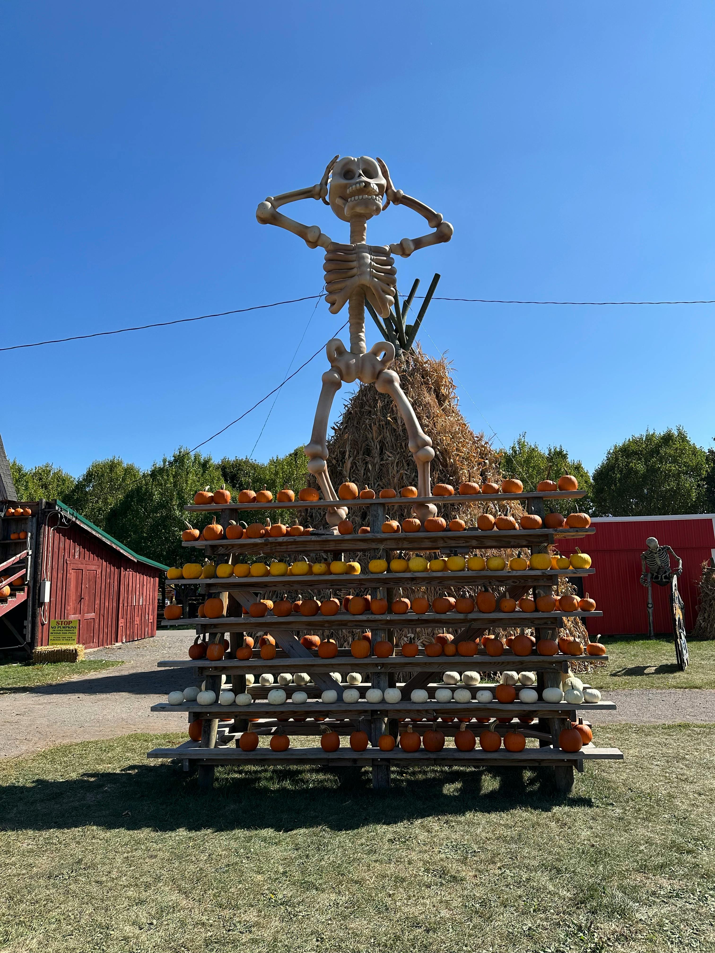 Cum să creezi tradiții de familie pentru fiecare toamnă