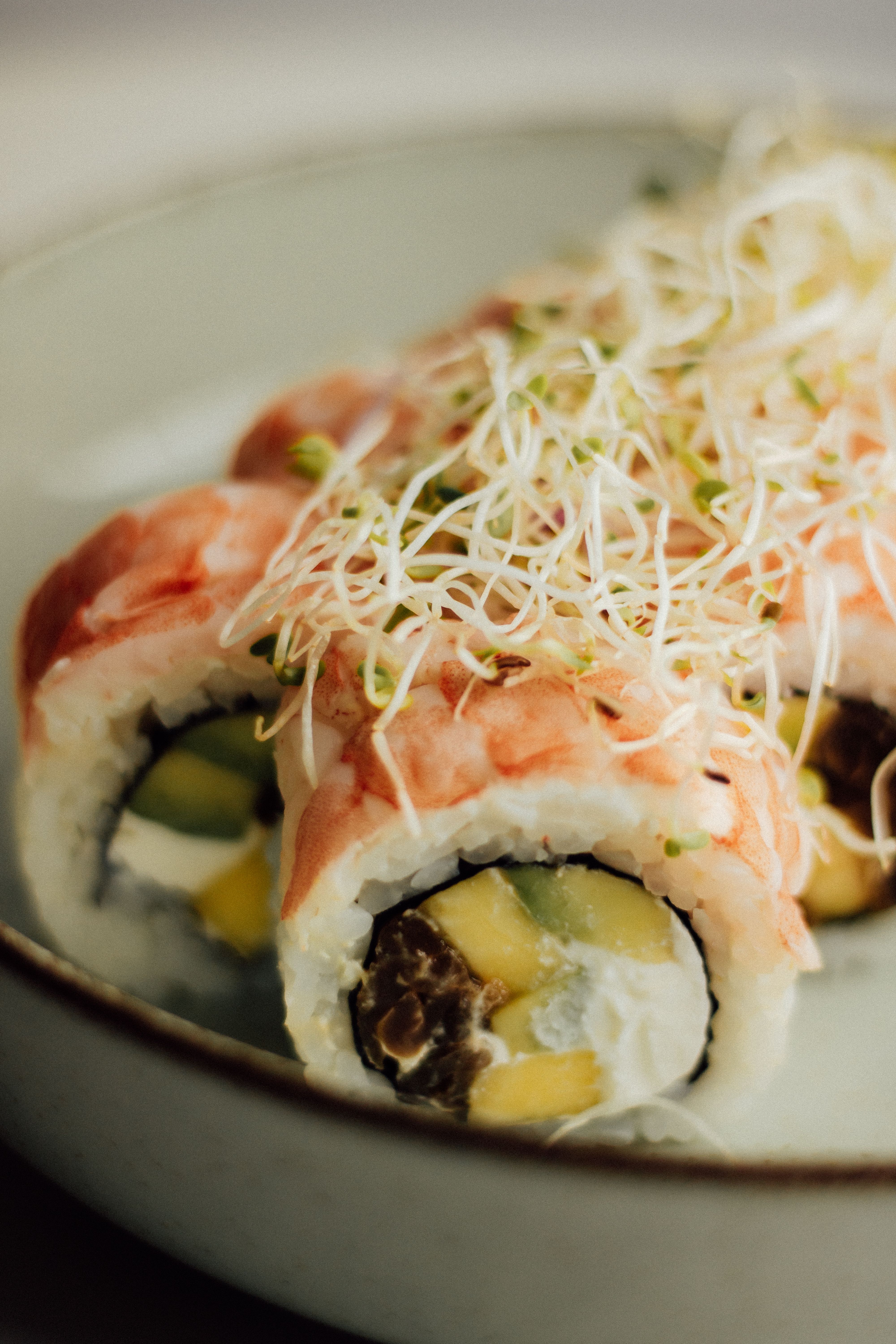 Delicious Sushi Roll with Sprouts Garnish · Free Stock Photo