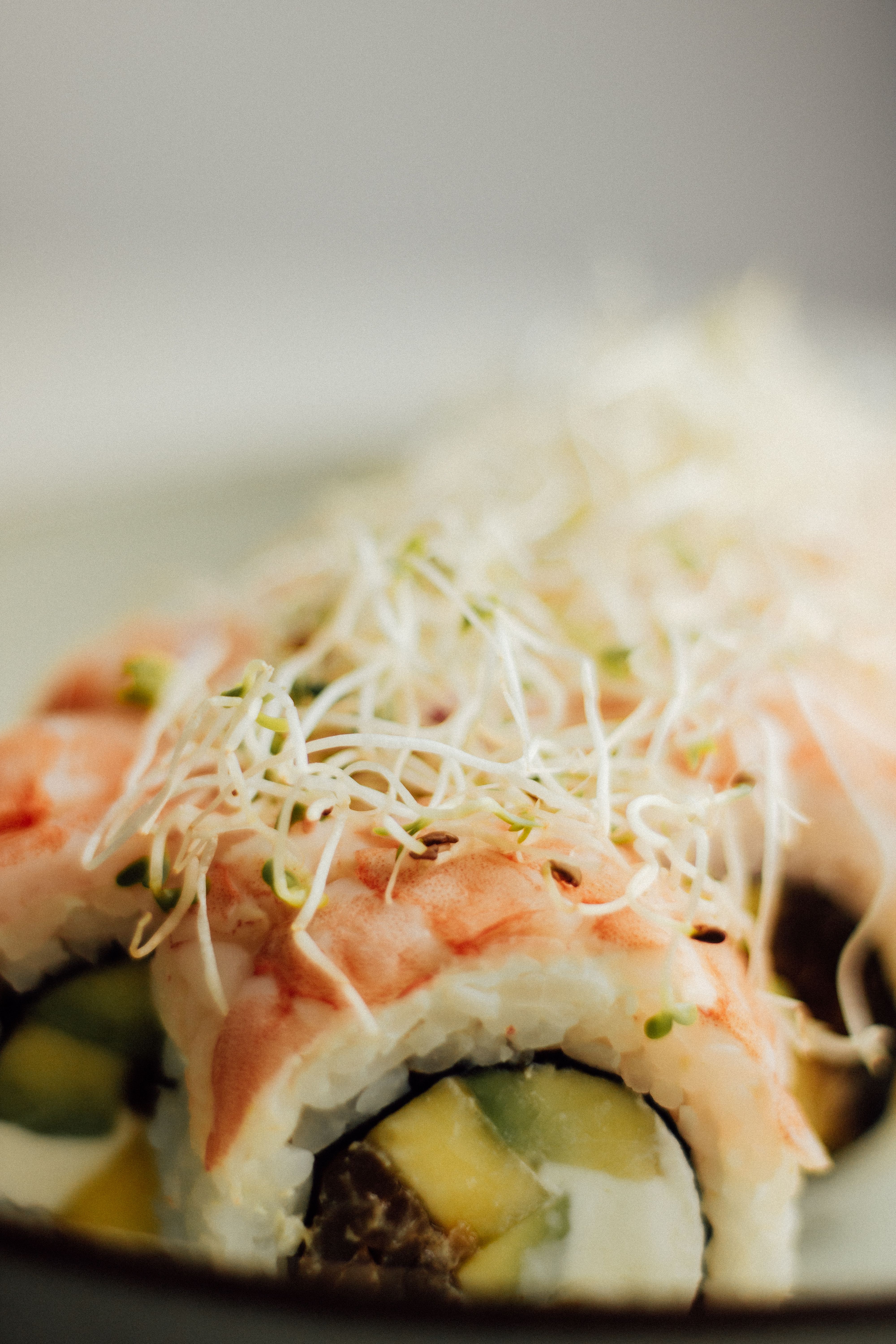 Gourmet Sushi Roll with Vegetables and Sprouts · Free Stock Photo