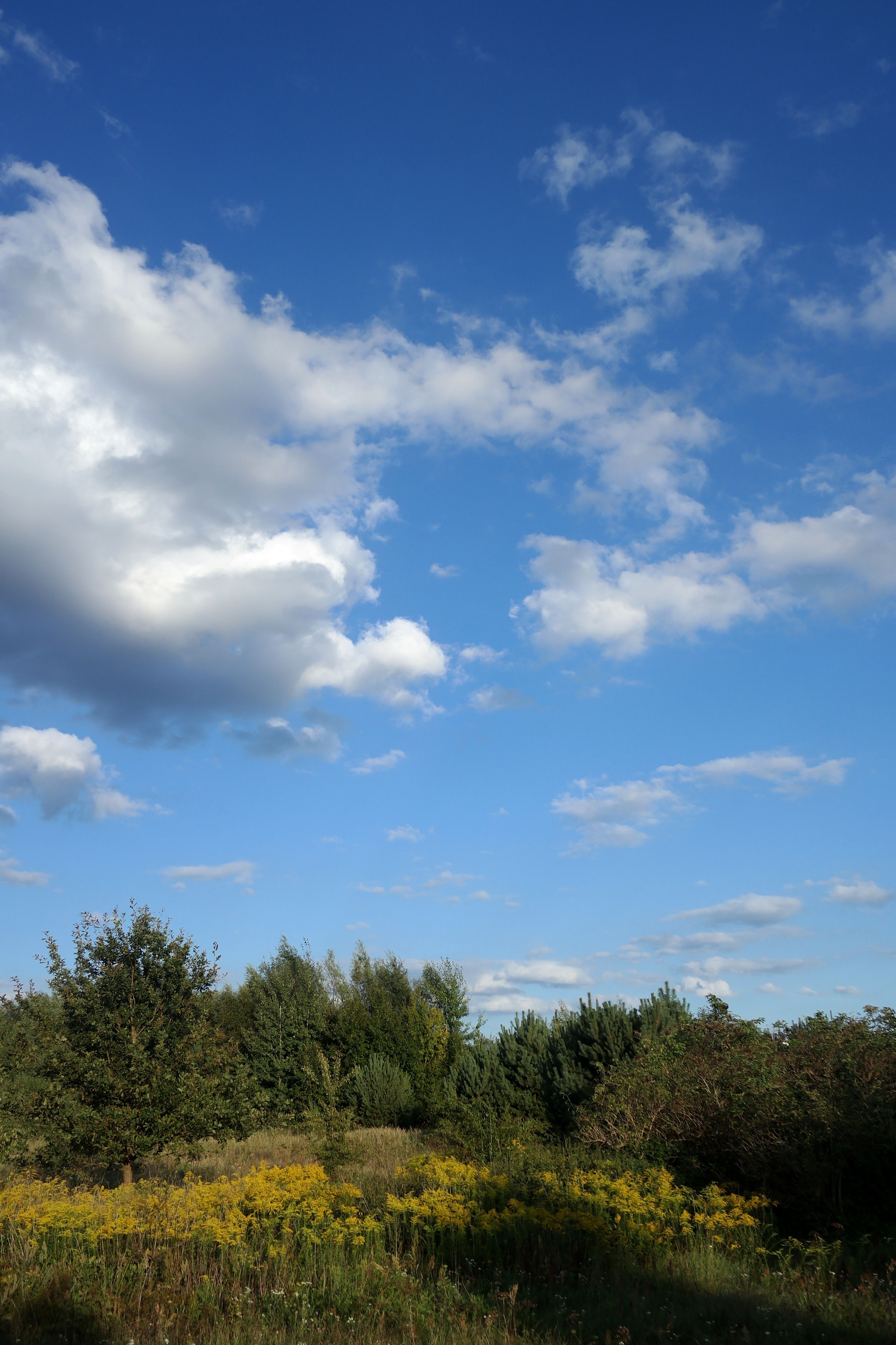 Serene Landscape with Blue Sky and Clouds · Free Stock Photo