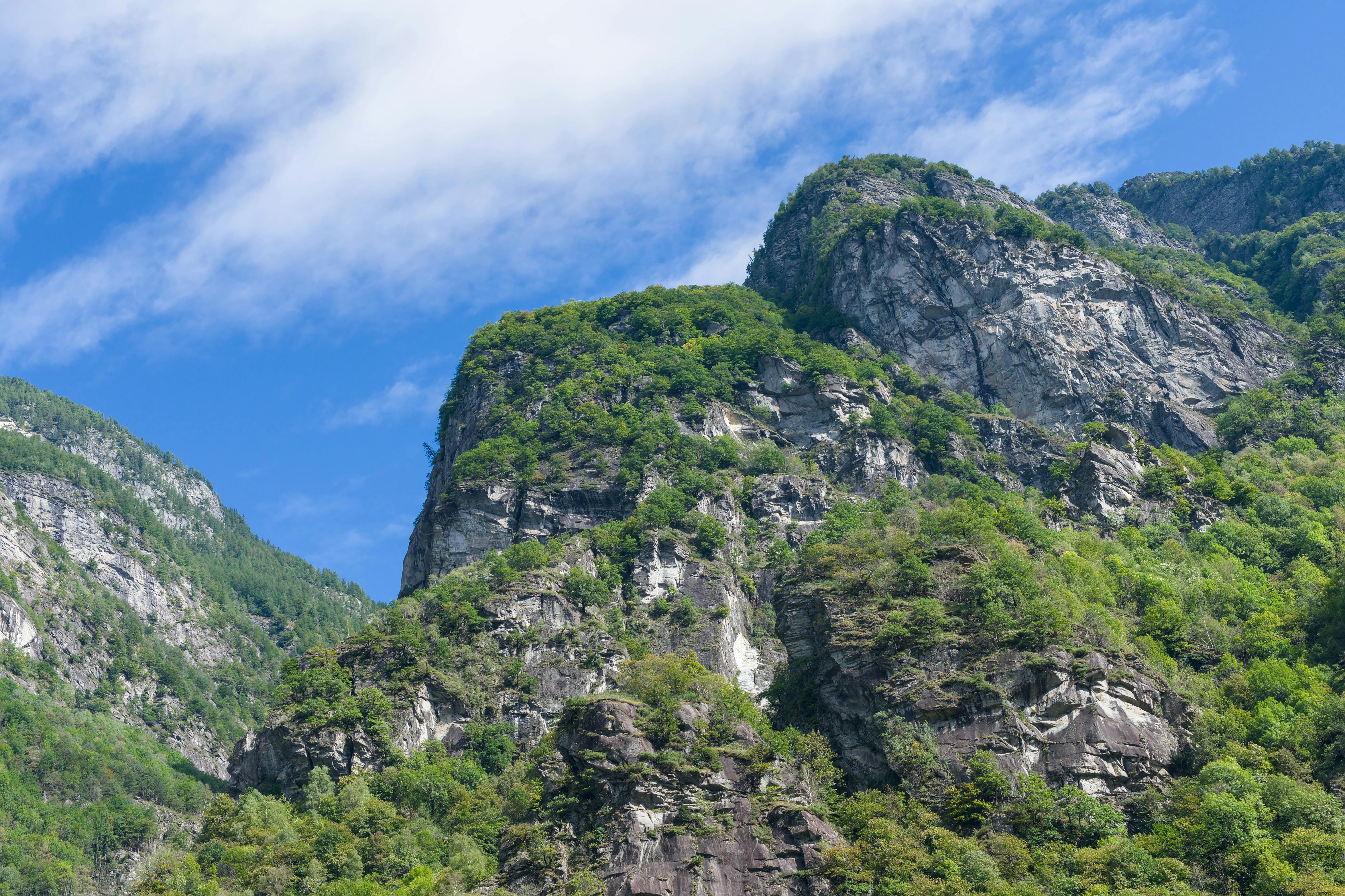 移民署南投專勤隊長獨攀八仙山突倒地猝死，好友揭生活熱愛登山