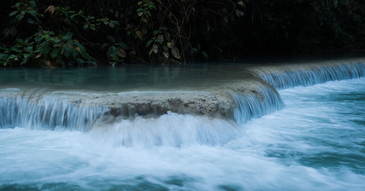 A tranquil waterfall flows over a rocky ledge surrounded by lush green foliage in a serene forest setting.