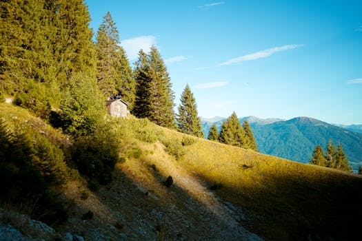 Idyllic alpine scene with wooden cabin and lush greenery in Tyrol, Austria.
