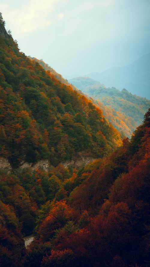 Free Stunning autumn mountain scene with vibrant foliage under soft light. Stock Photo
