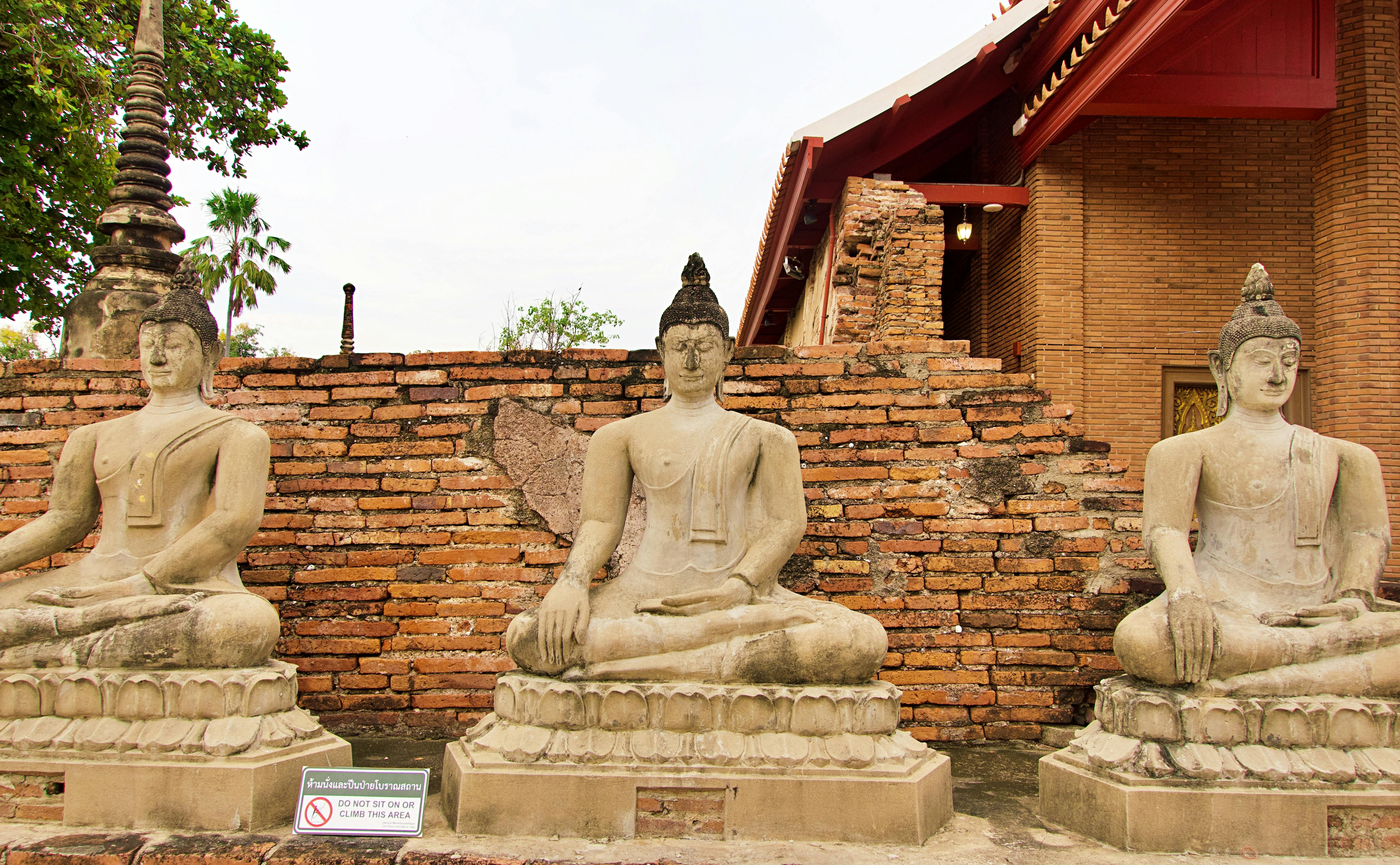 生活：台南六甲迎來6米高新地標「六甲松鶴」正式亮相