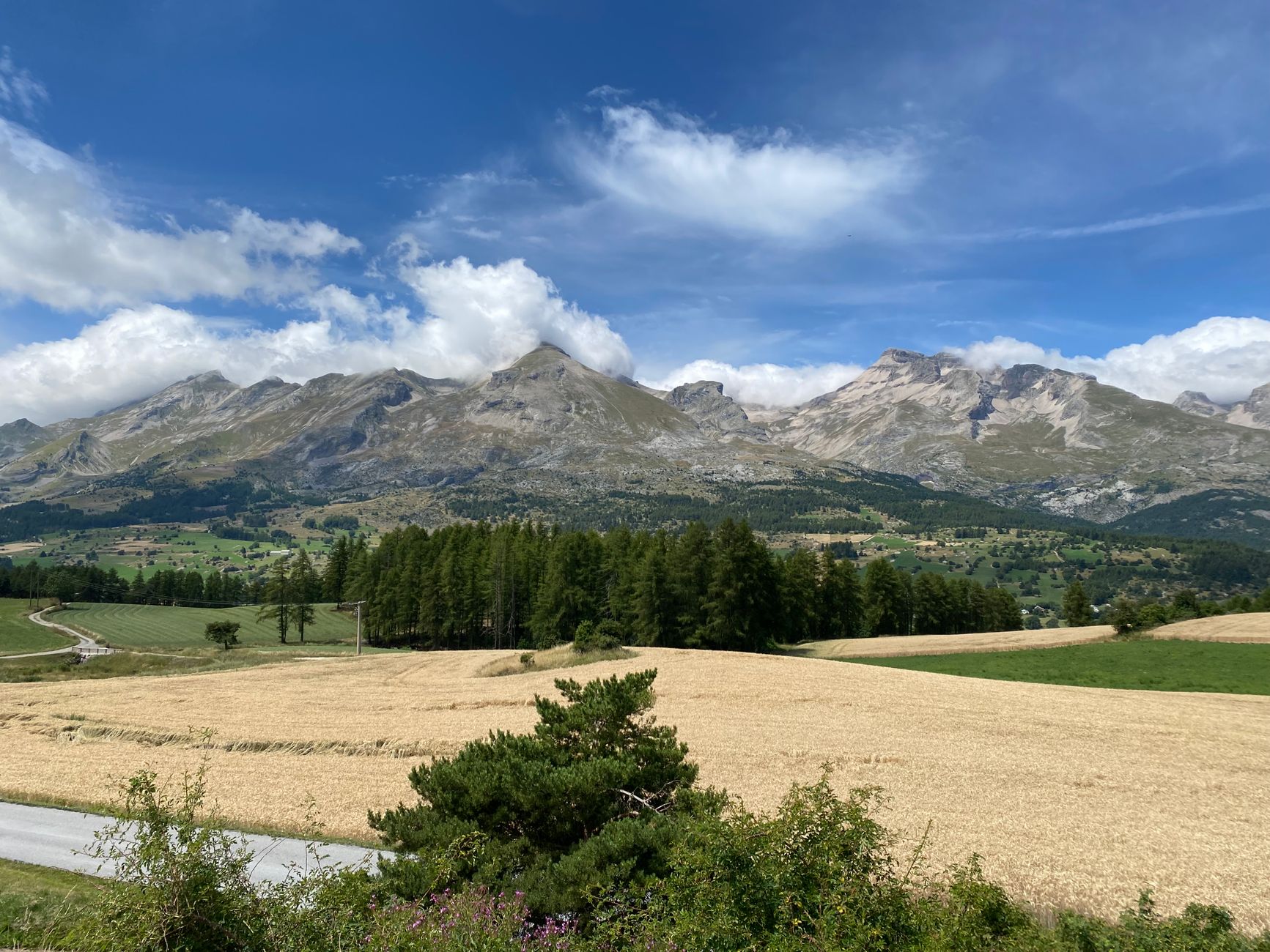 Kindergarten en pleine nature