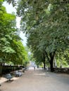 Peaceful Park Pathway Lined with Verdant Trees