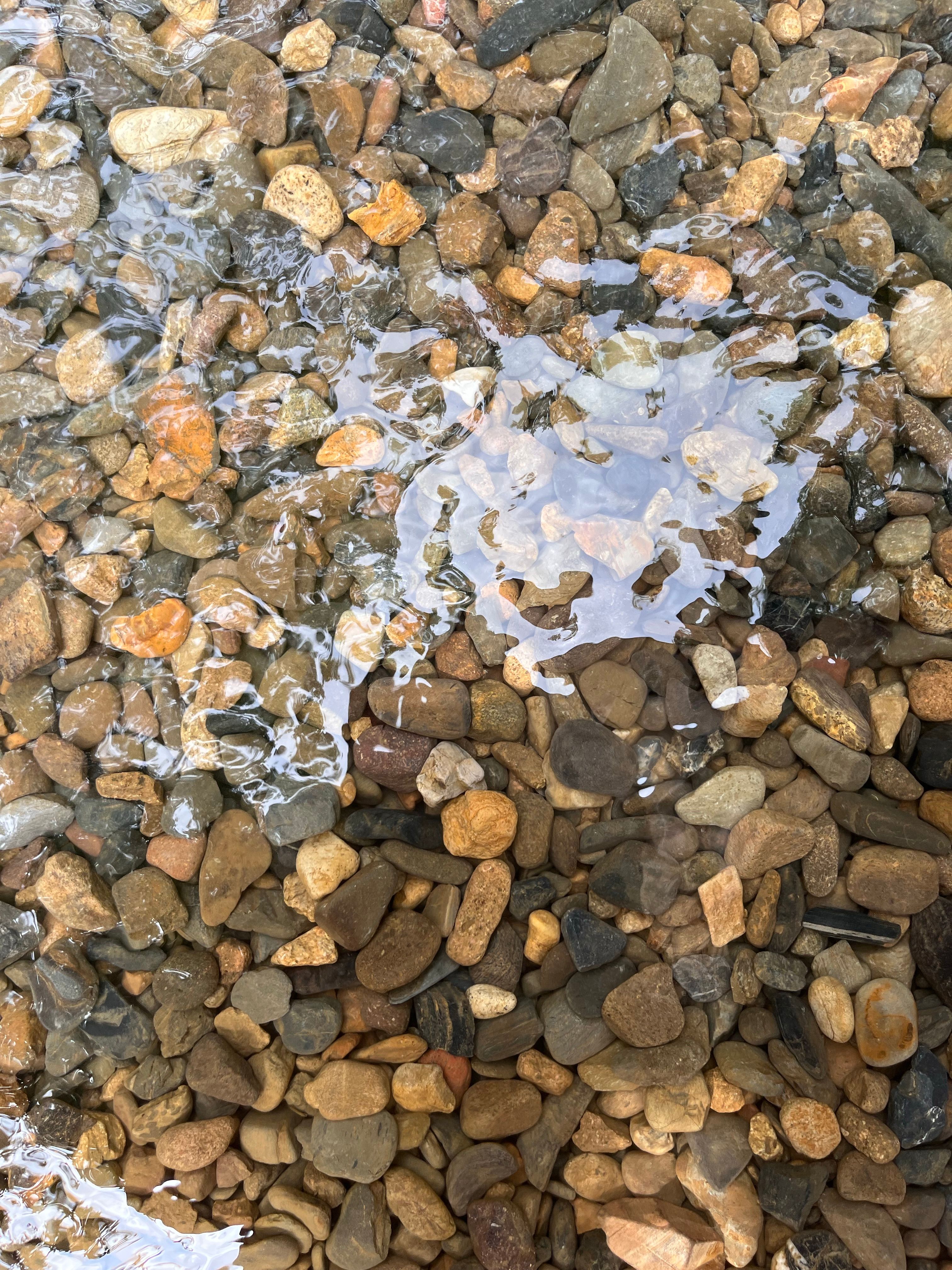 Clear Water Over River Stones in Hangzhou · Free Stock Photo