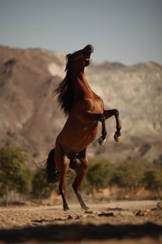 A powerful brown horse rears up against a backdrop of rugged mountains.