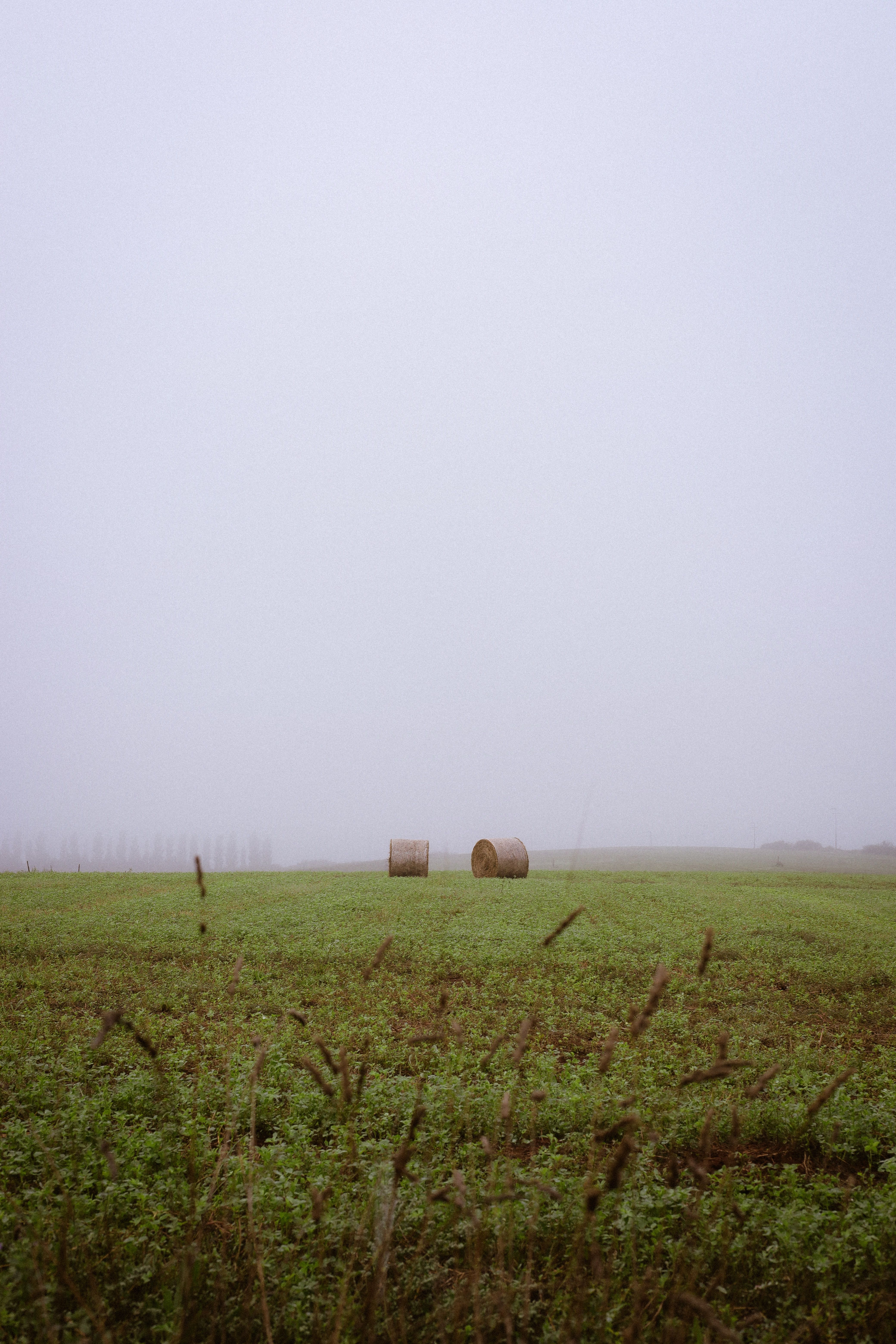 Serene Foggy Field with Hay Bales in Autumn · Free Stock Photo