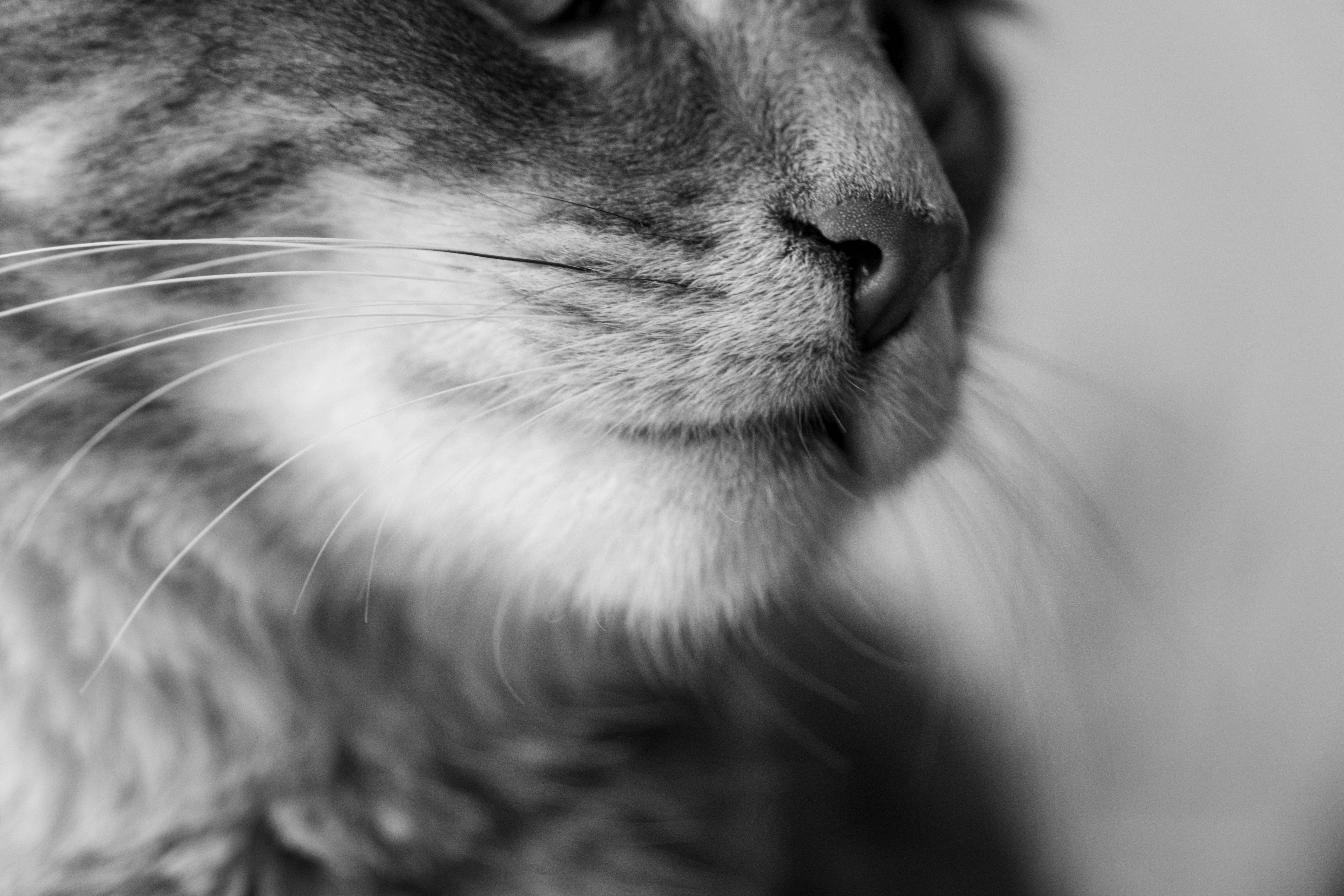 The Surprising Connection Between Art and Digital Marketing Success