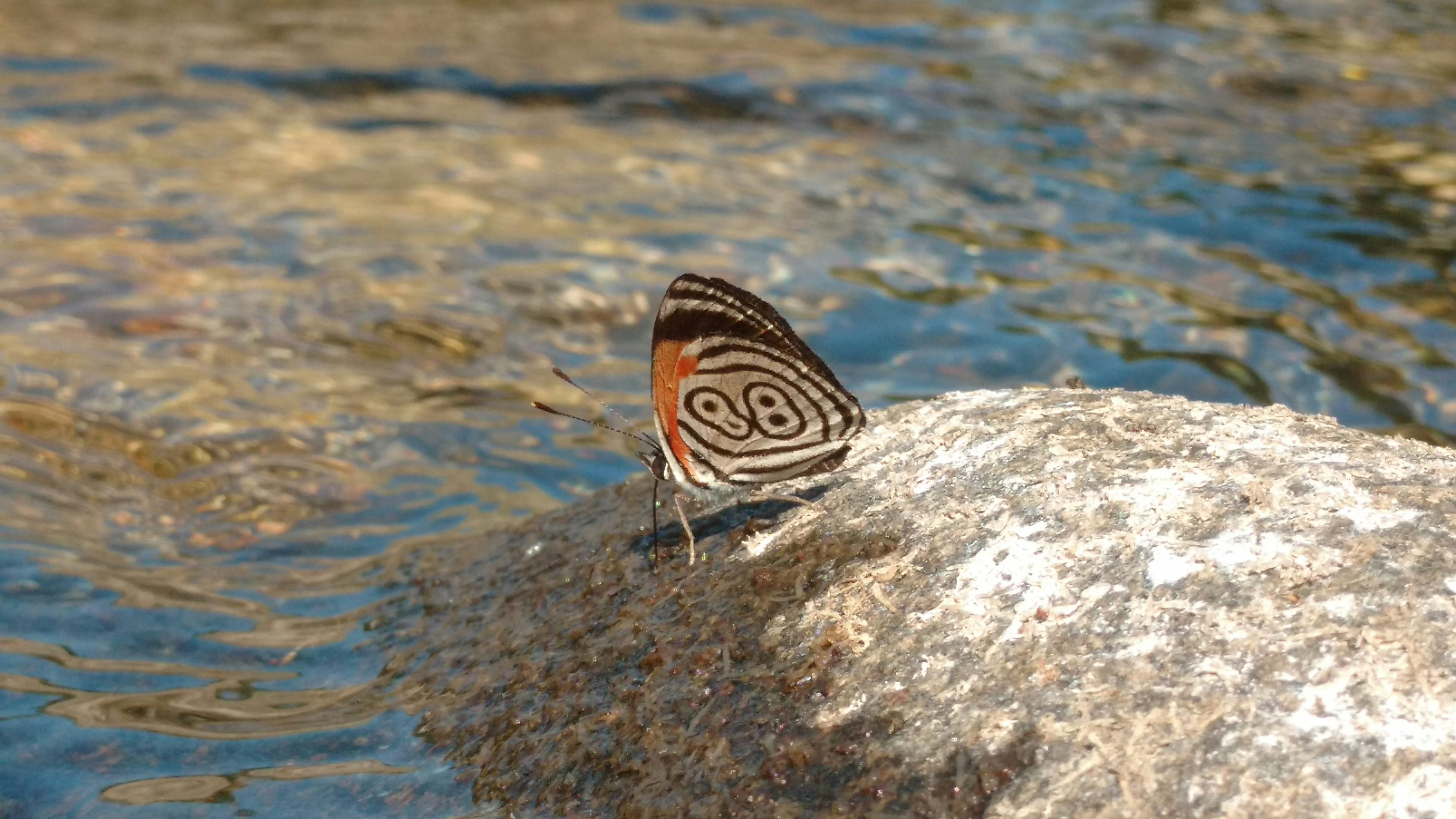 與Kourtney Kardashian Barker漫遊生活，感受朋克搖滾女王魅力