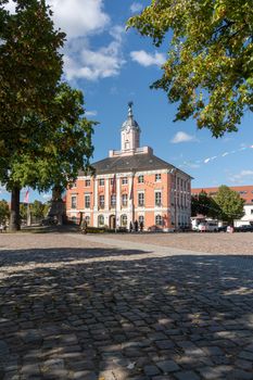 Beautiful view of a historic town hall with a cobblestone square and trees under a clear blue sky.