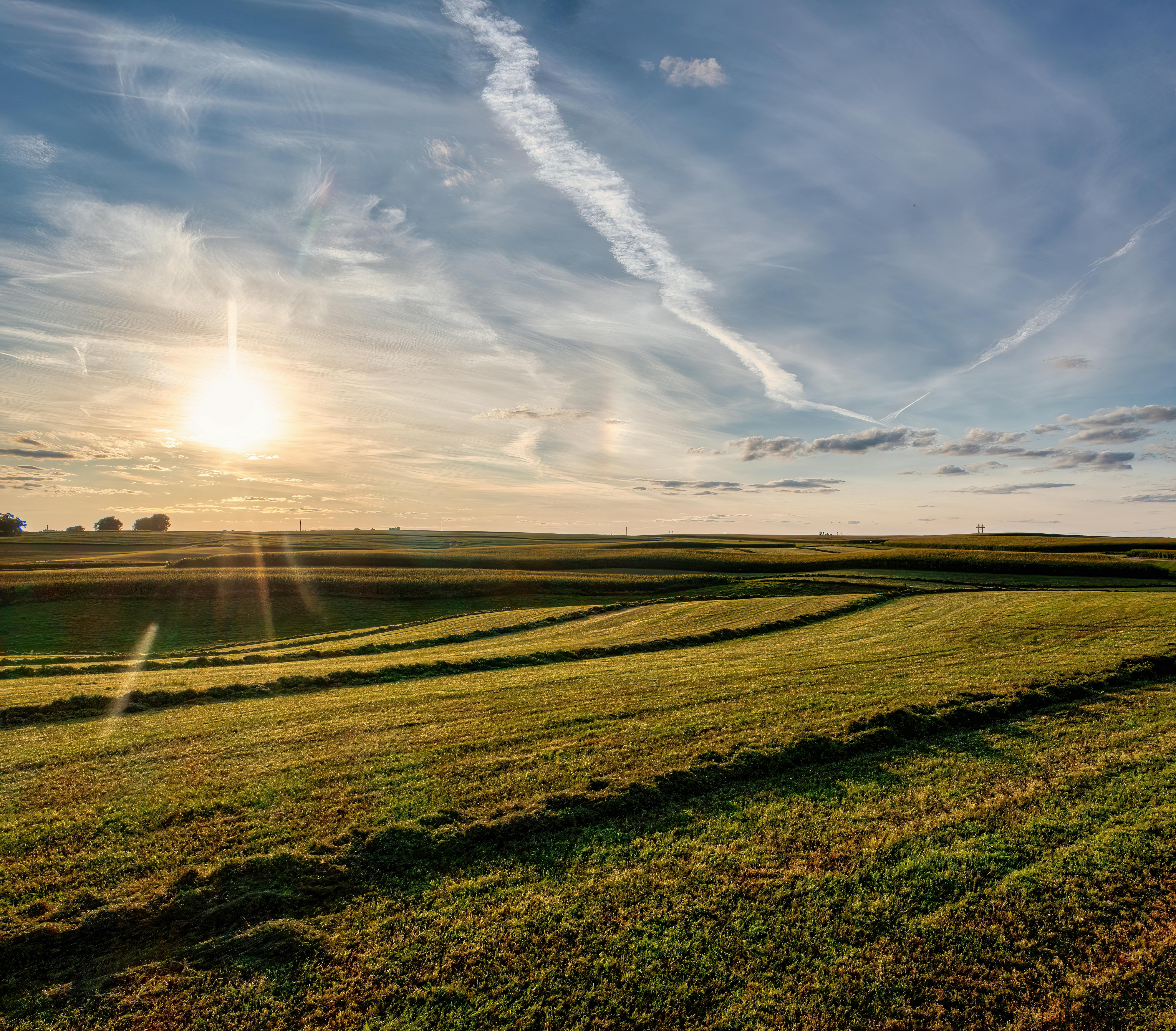 Kolache Cehia Midwest