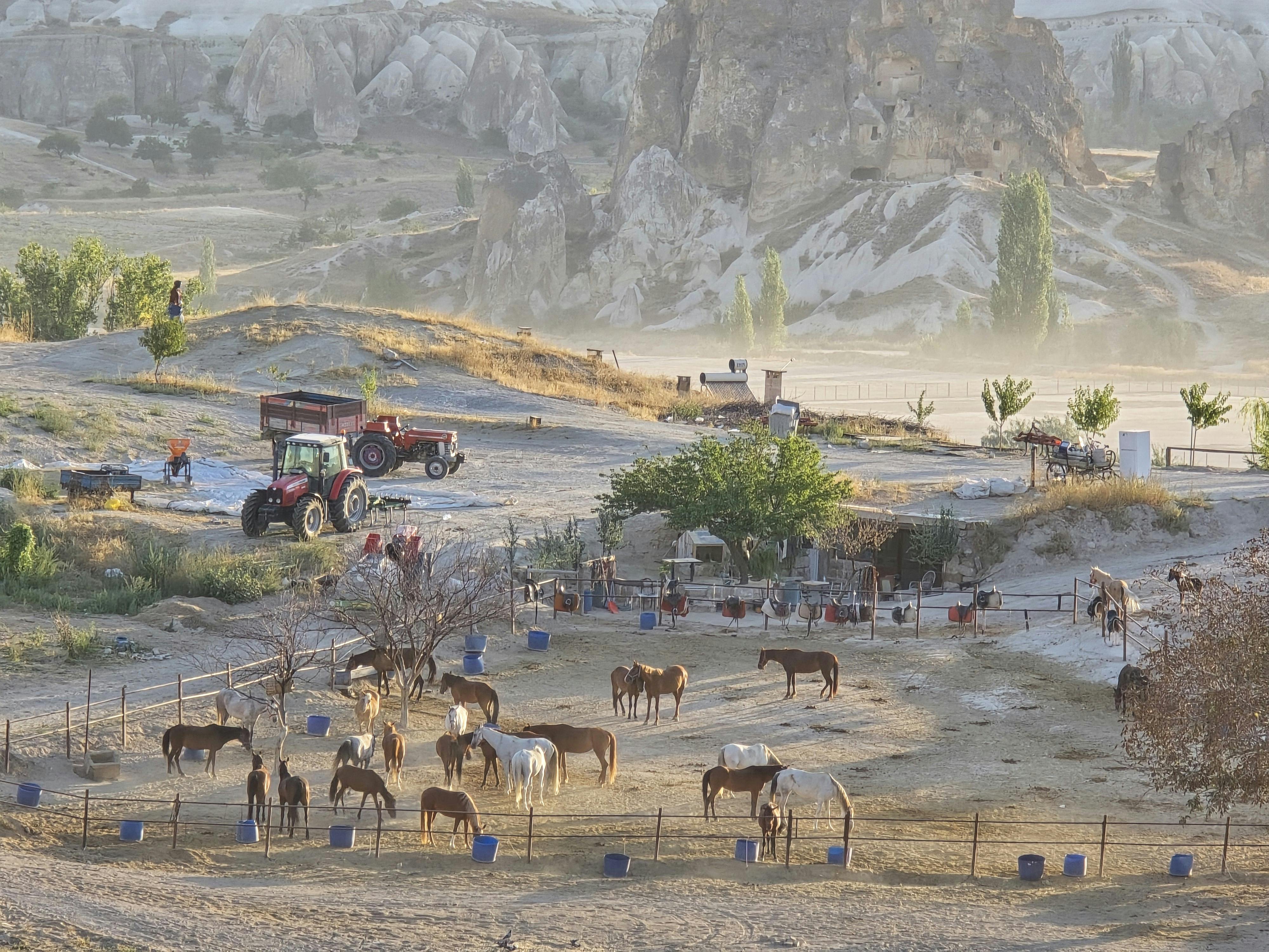 美國教師月薪1700美元選擇日本鄉村生活，享受低壓舒適環境