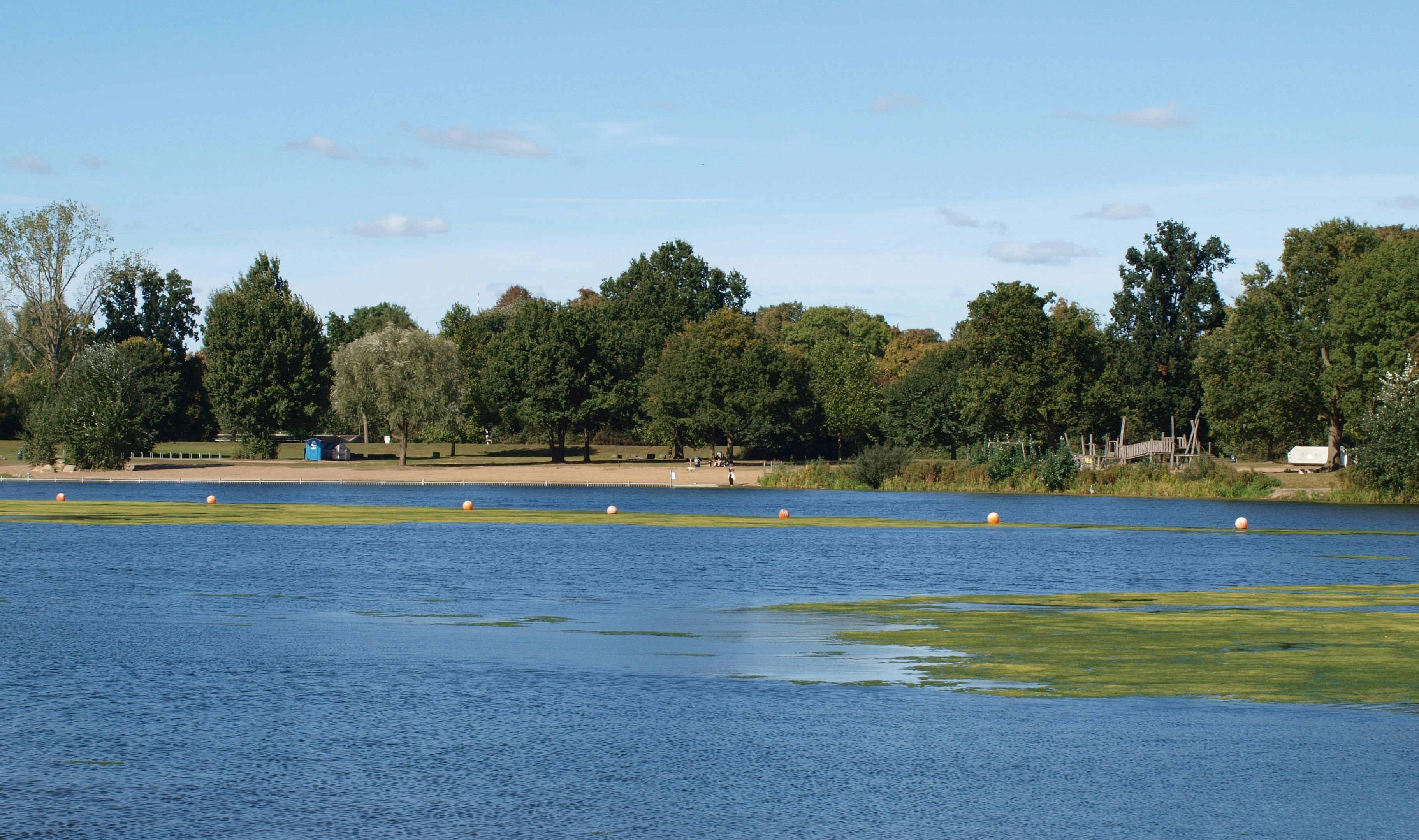 政治：前鎮親水公園弊案疑雲 藍營議員指控原民會包庇不作為