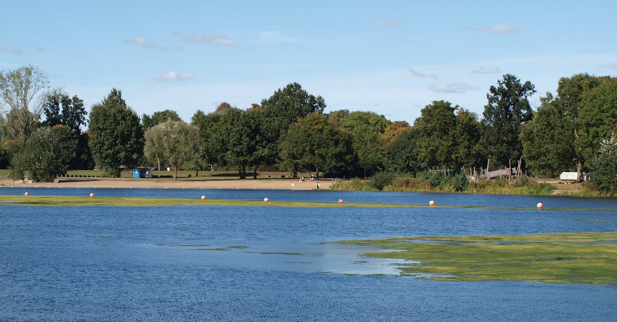 政治:前鎮親水公園弊案疑雲 藍營議員指控原民會包庇不作為