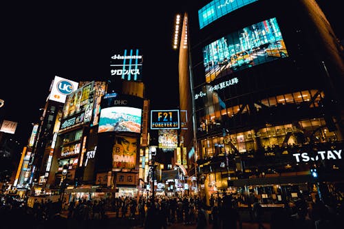 Shibuya, Nhật Bản