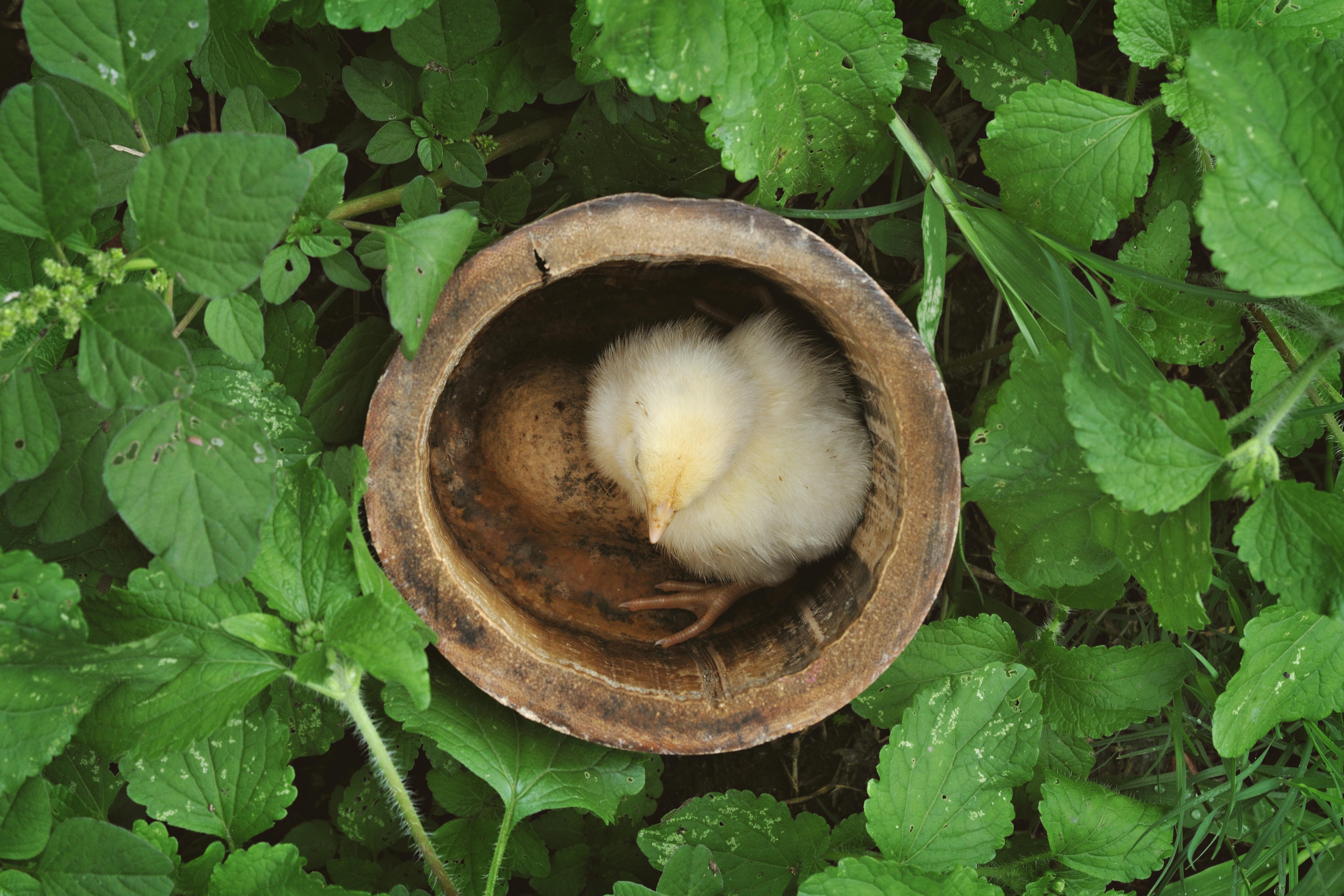 Tap into the Wisdom of the Universe with Deep Soul Reflection