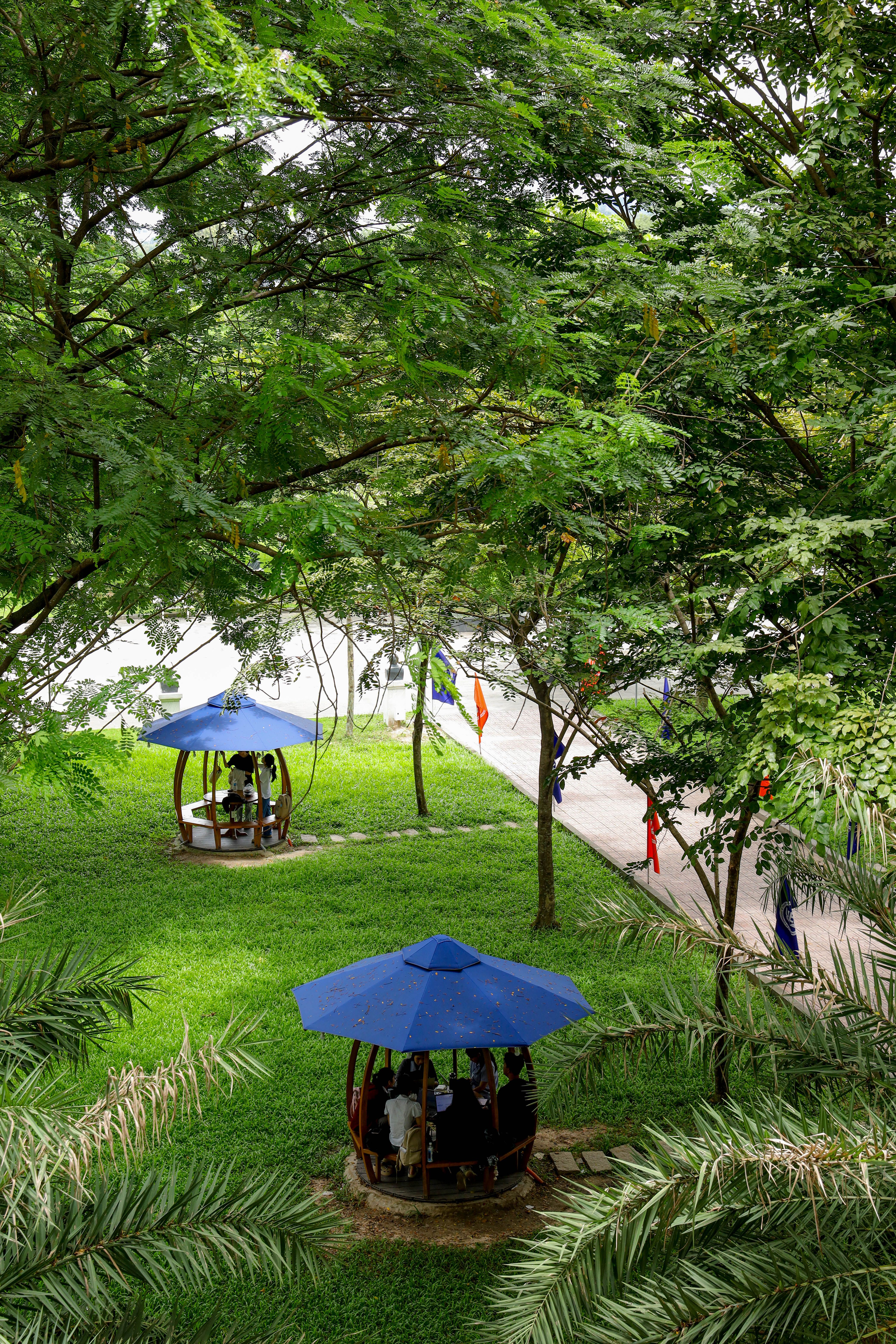 Aerial View of Gazebos in Lush Green Park · Free Stock Photo