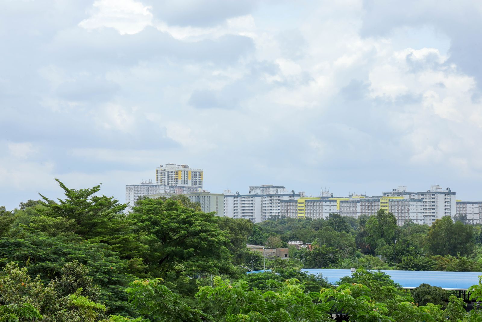 Ejen Hartanah Taman Johor untuk jual rumah bersama Adi Zaini REN27528