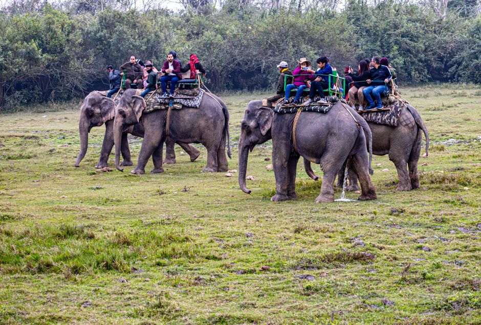 Nepal Tour Package