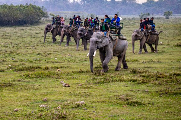 City Highlights Tour in Assam