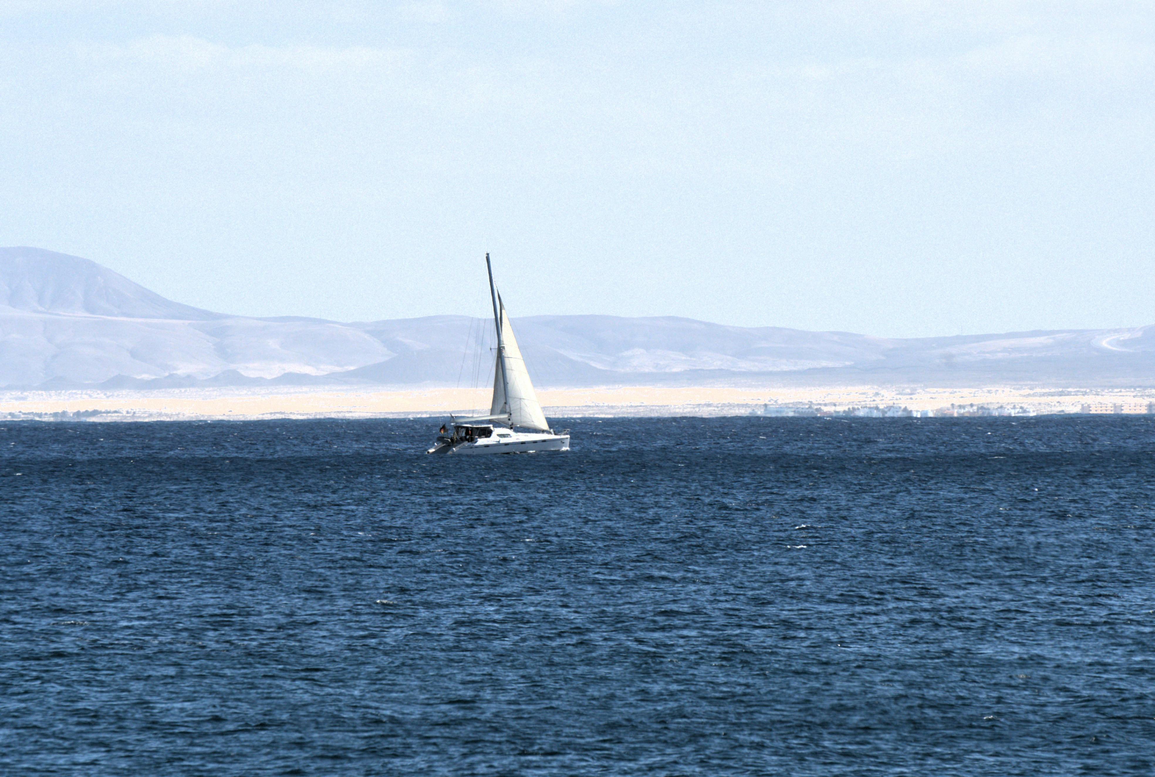 Pam+Bondi+Bikini+Photos Photos, Download The BEST Free Pam+Bondi+Bikini