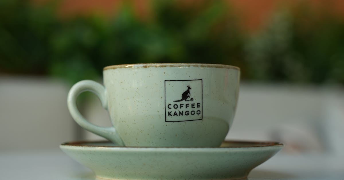 灣區「5+2雙居生活」專家解析七大優勢,打造理想居住模式