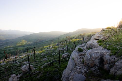 Free Idyllic mountain landscape during golden hour with rocky terrain and burnt trees. Stock Photo