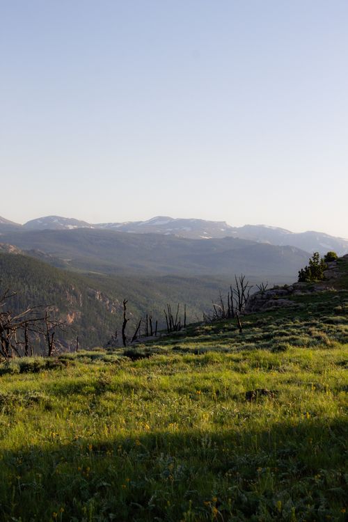 Free Expansive view of mountains and grassy fields during golden hour, capturing the beauty of nature. Stock Photo