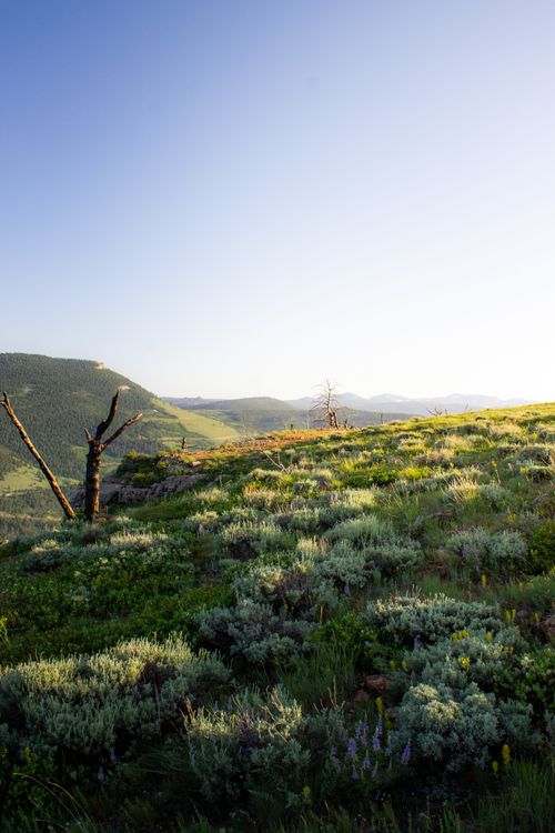 Free Picturesque mountain landscape at sunset with lush greenery and open sky. Stock Photo