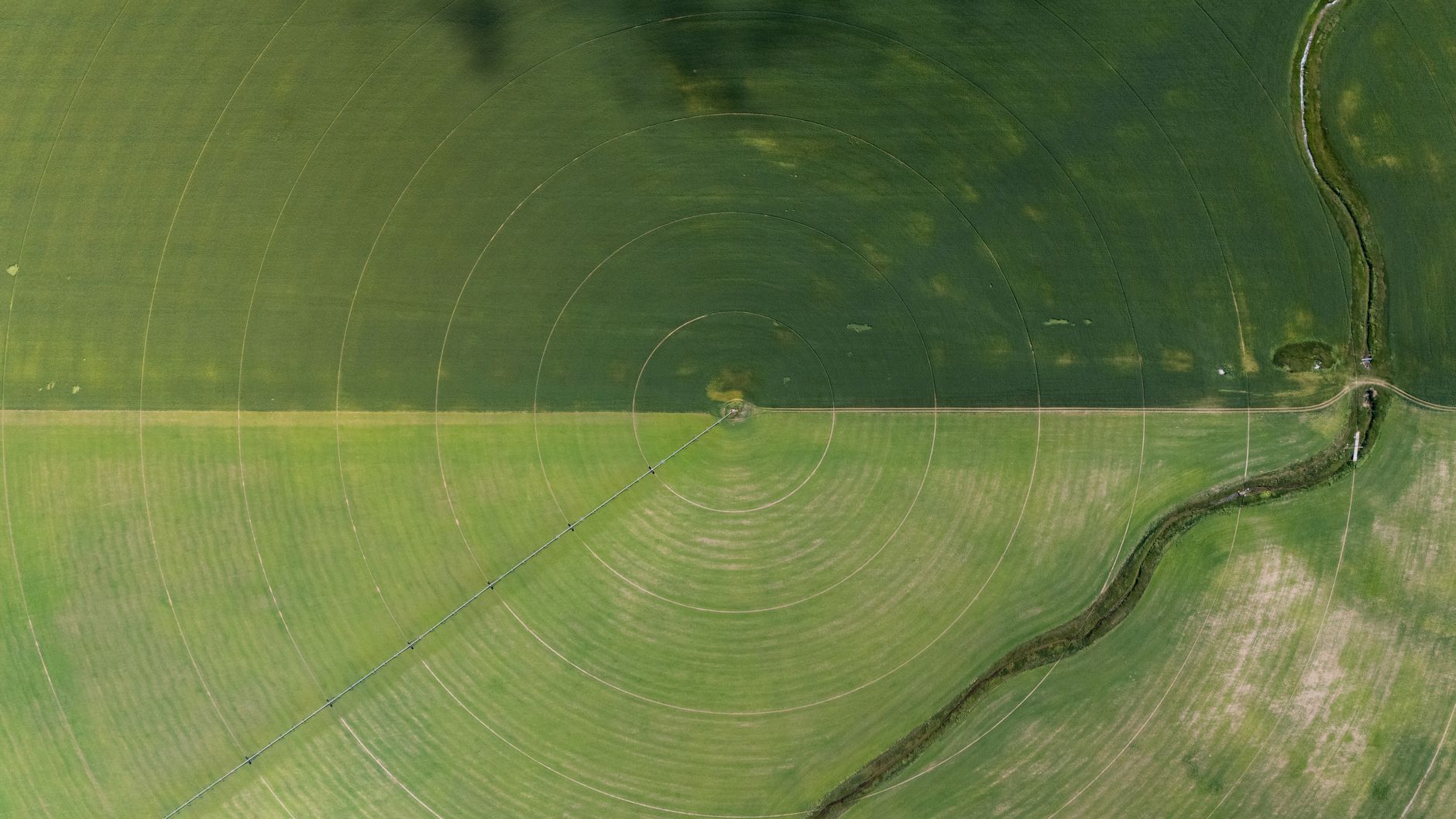 Farm Management Software Growth