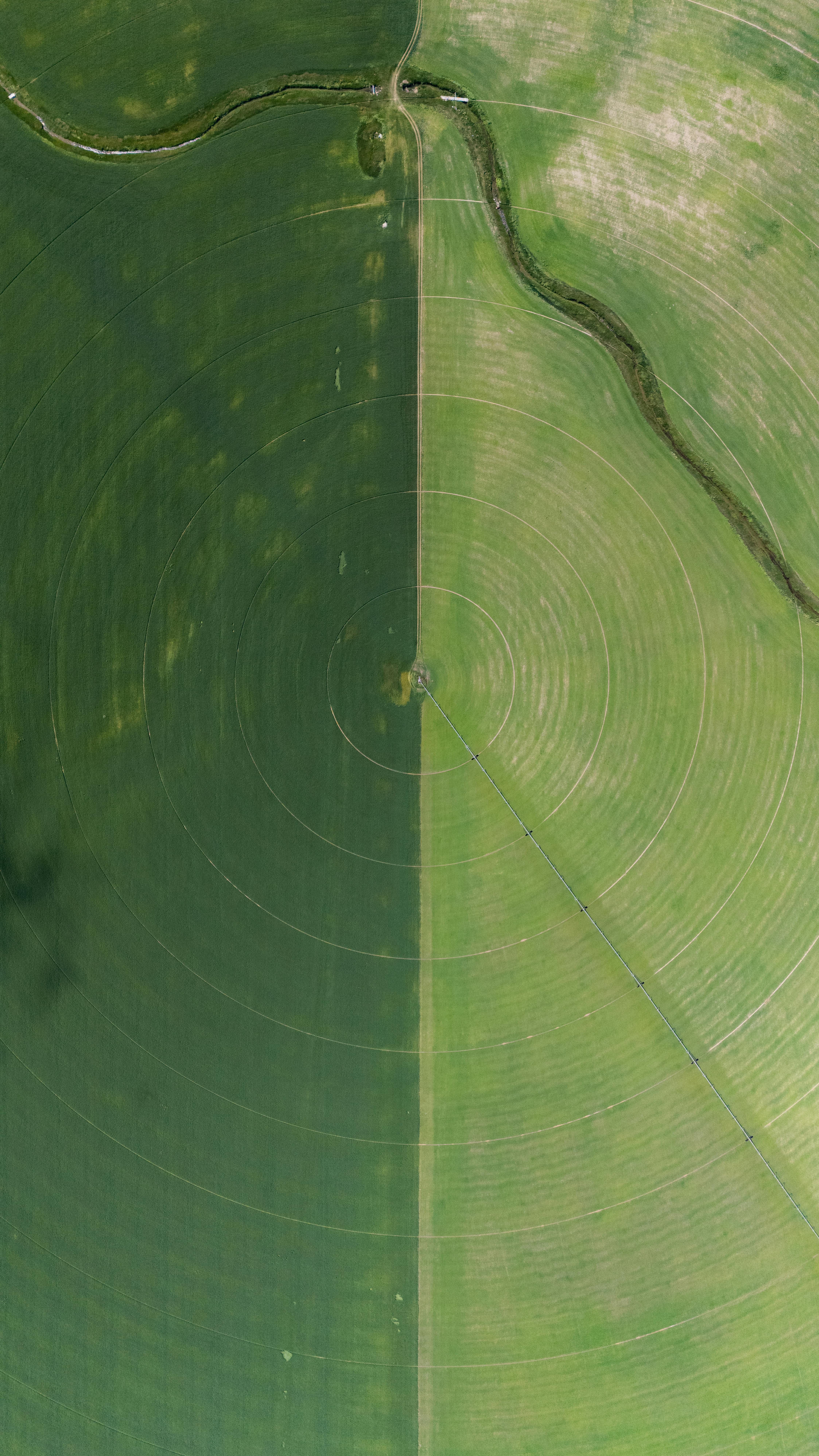 grátis Padrão Foto profissional