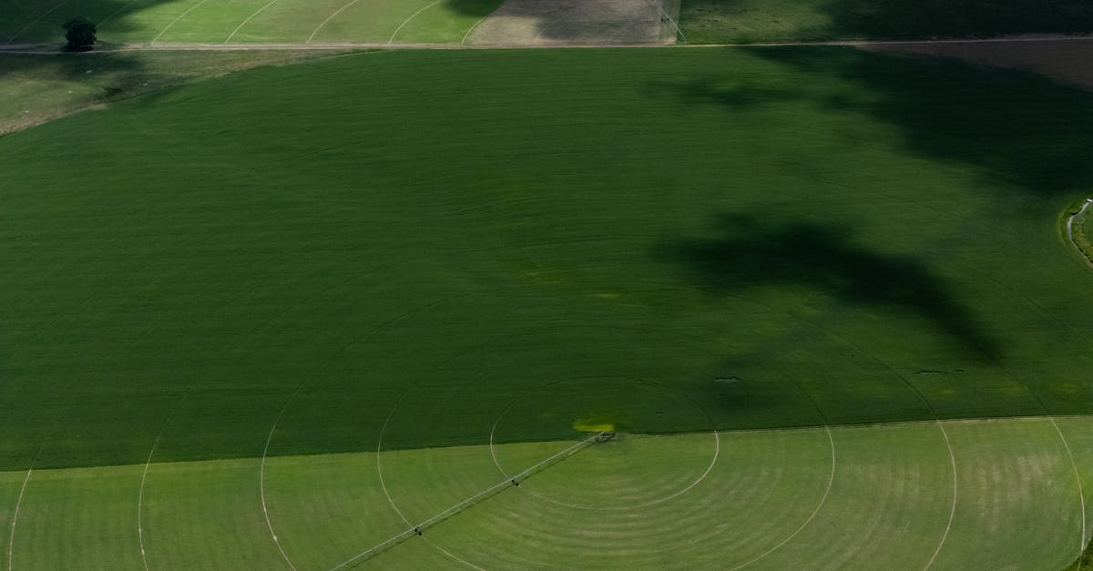 Photo by Sam McCool Aerial shot showcasing circular irrigation fields with a river in the background under a clear sky.