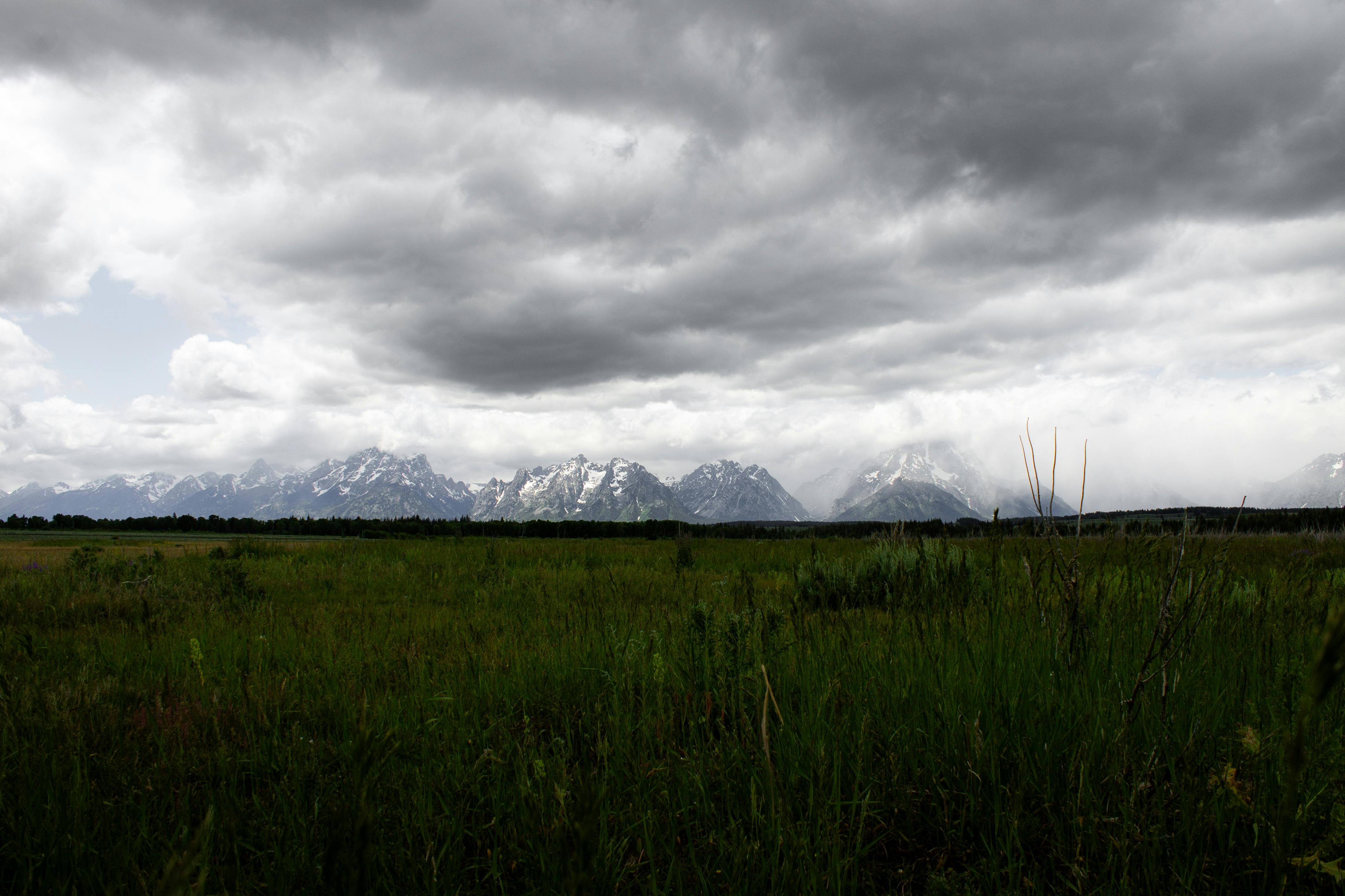 財經：3隻黑天鵝引爆完美風暴 外媒警告應屆畢業生就業危機